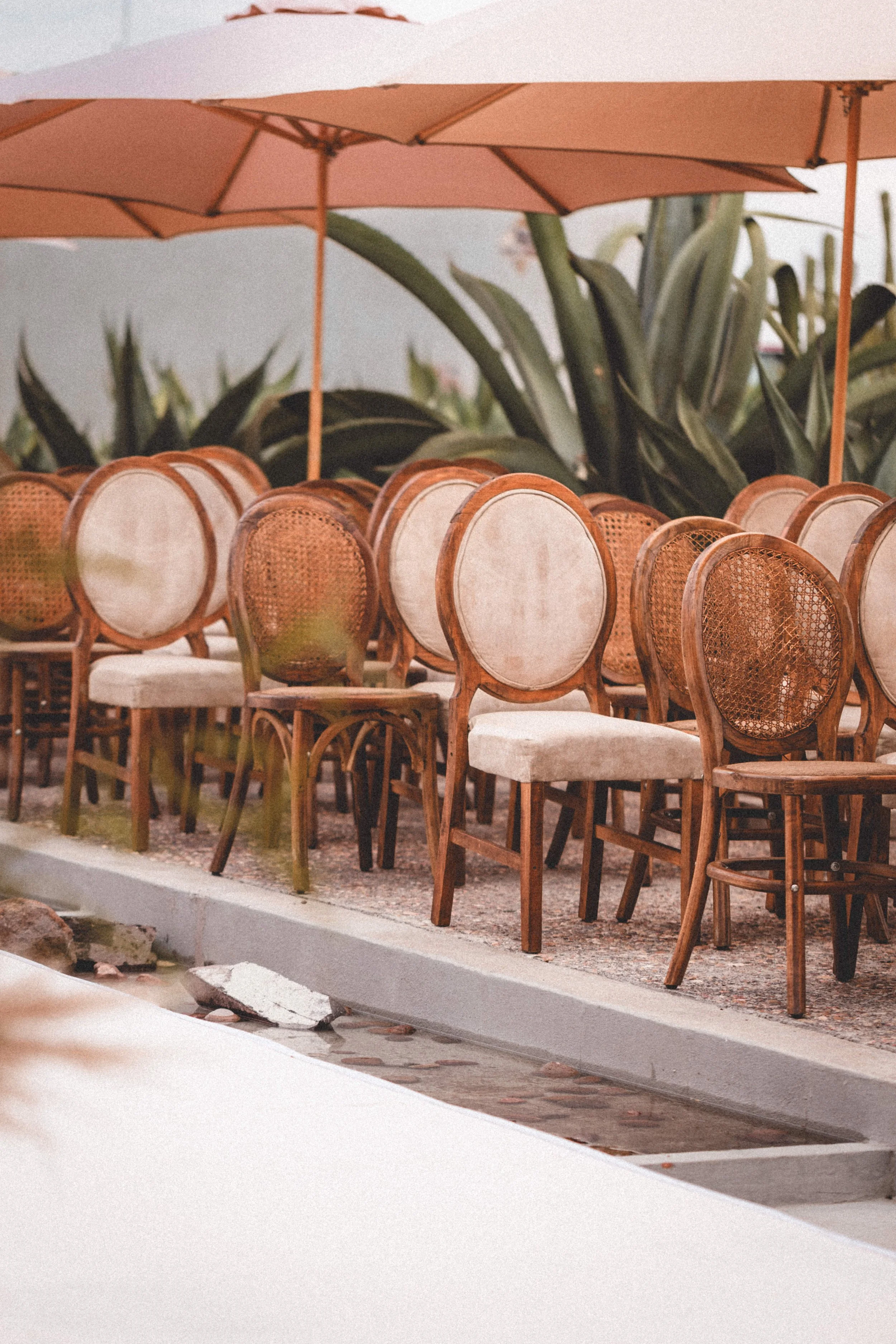 Boda Rachel & Enrique_0436.JPG