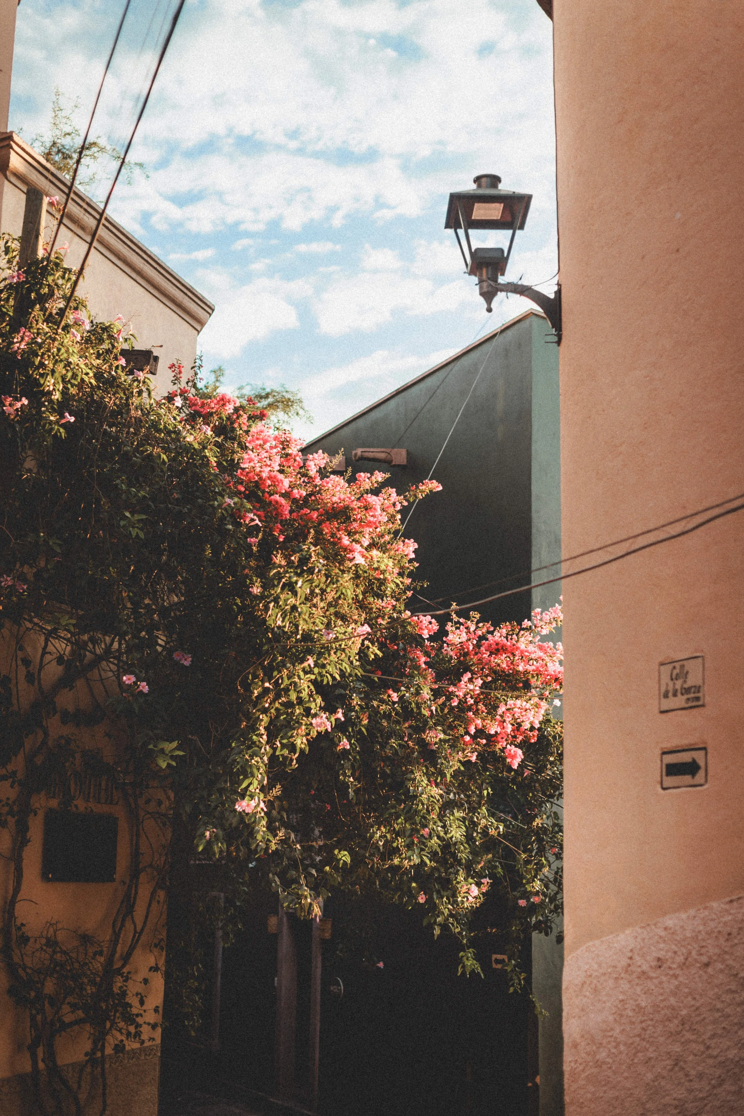 Boda Rachel & Enrique_0003.JPG