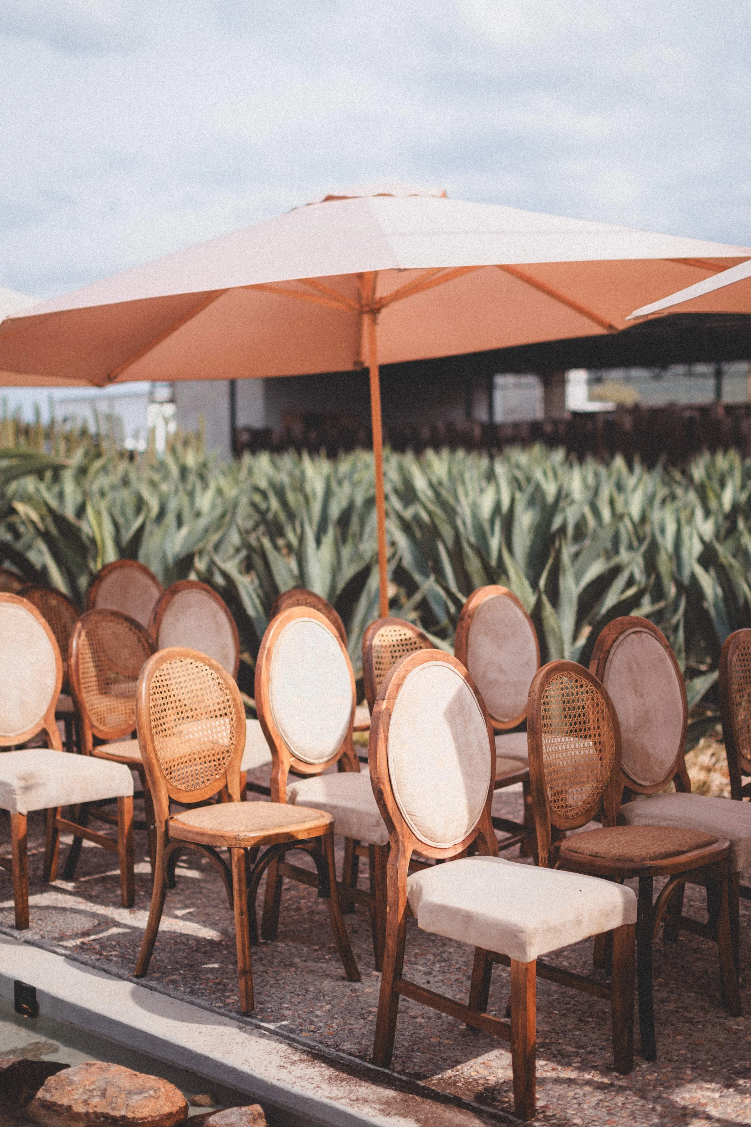 Boda Rachel & Enrique_0520.JPG