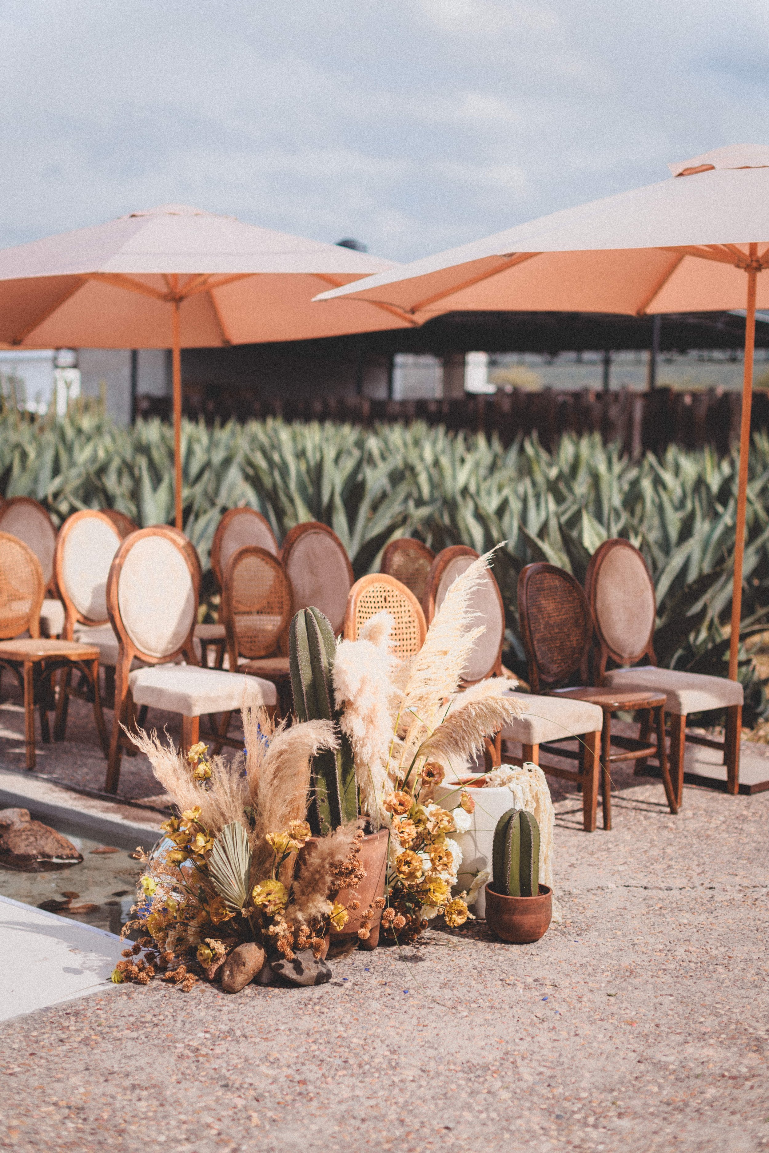 Boda Rachel & Enrique_0519.JPG