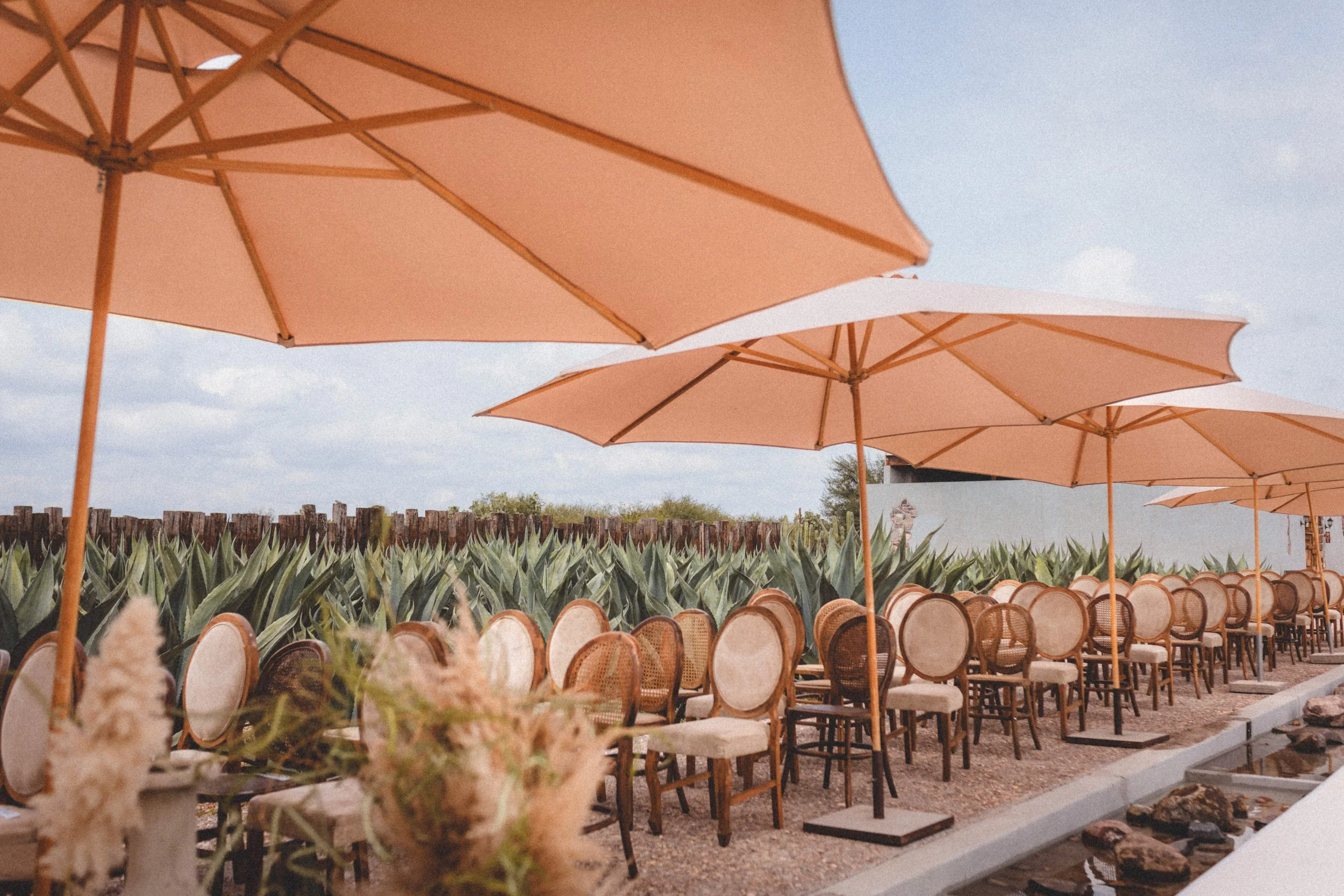 Boda Rachel & Enrique_0447.JPG