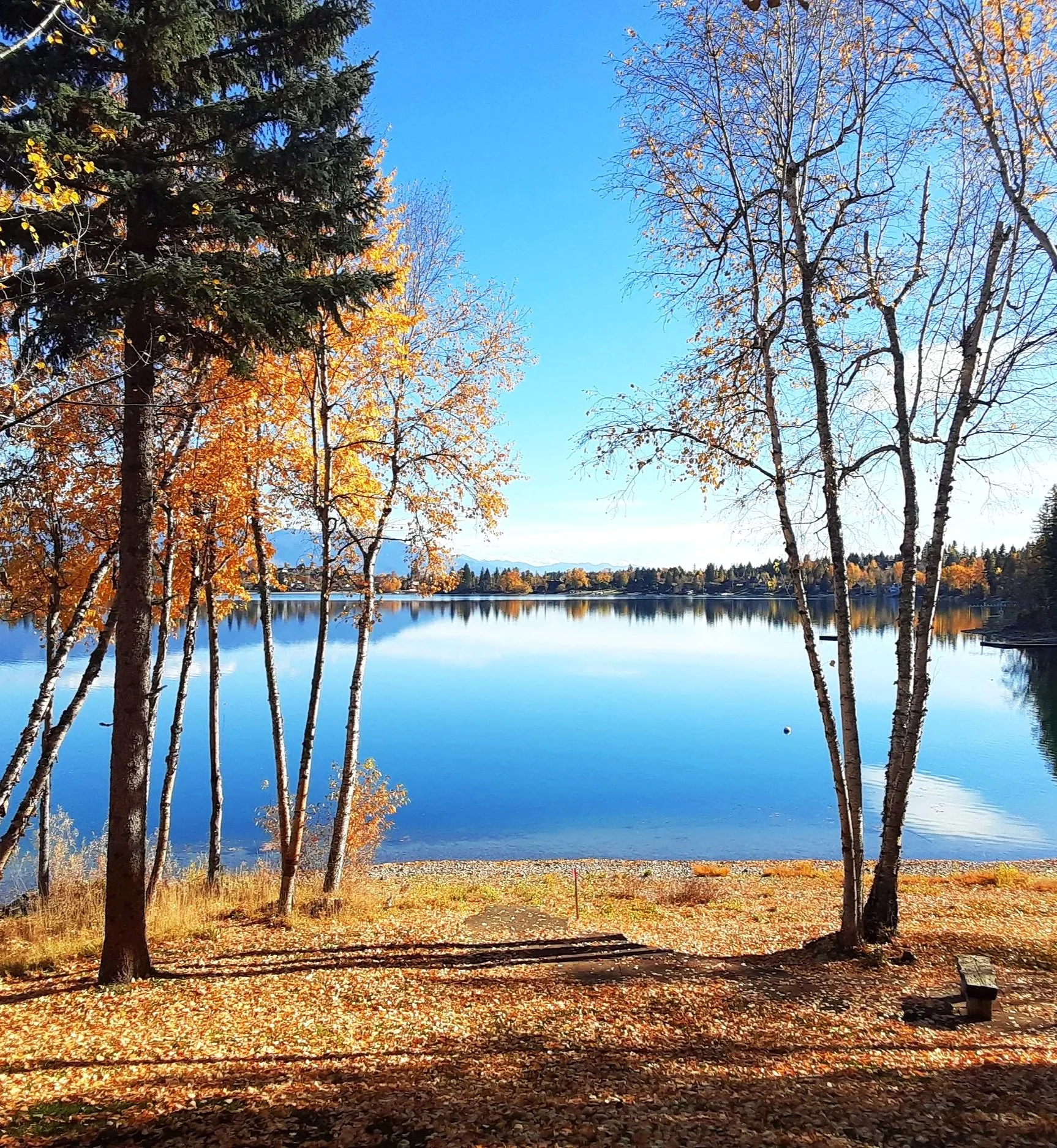 A scenic view of a lake surrounded by trees with autumn foliage, under a clear blue sky, with reflections of trees and sky on the water, and a small bench on the shore.