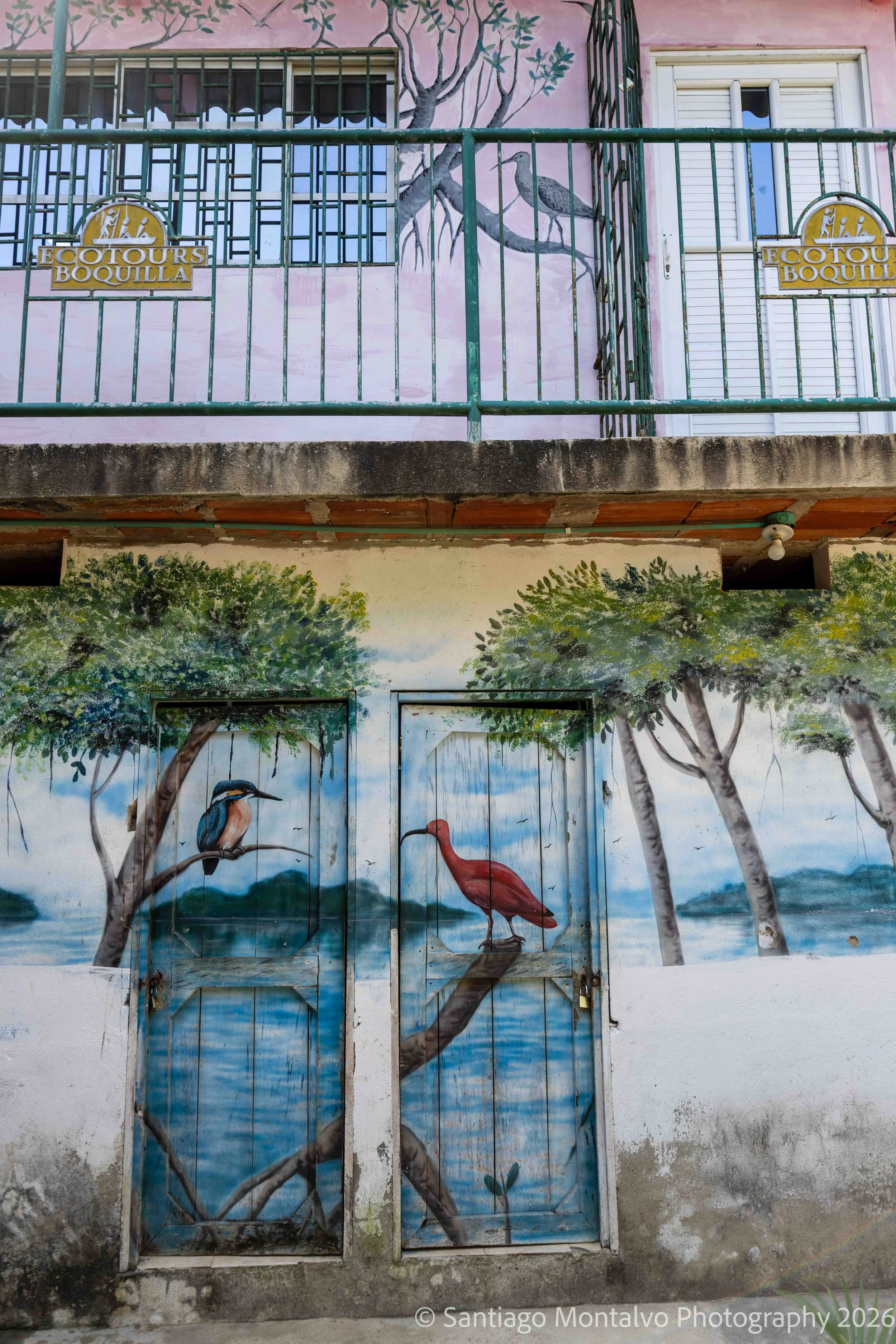 Painted Facade — Cartagena, Colombia. A vibrant celebration of color, imagination, and the artistic character of the old city.