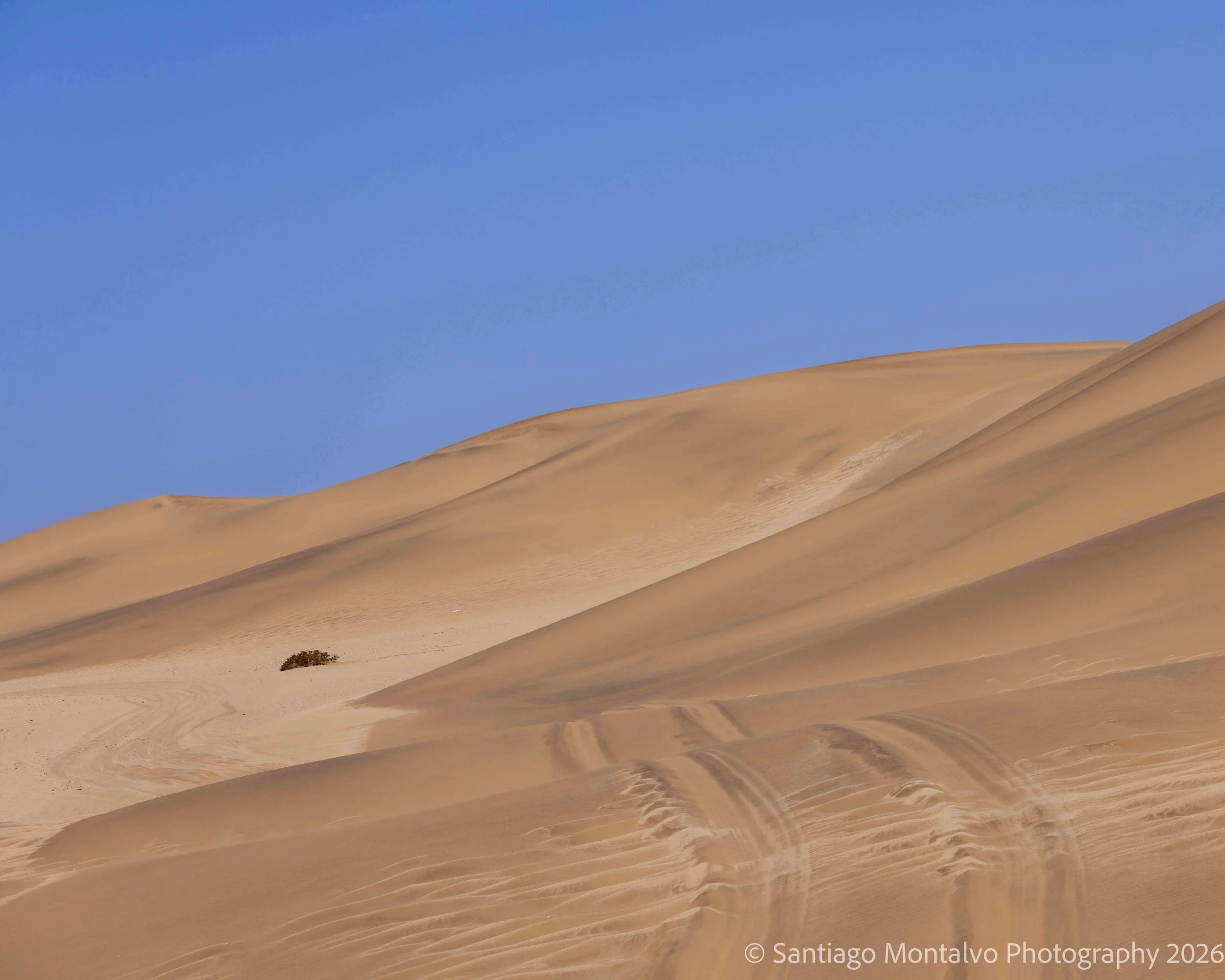 Shadows of the Desert — Namibia. An interplay of sunlight, shadow, and ancient sand.
