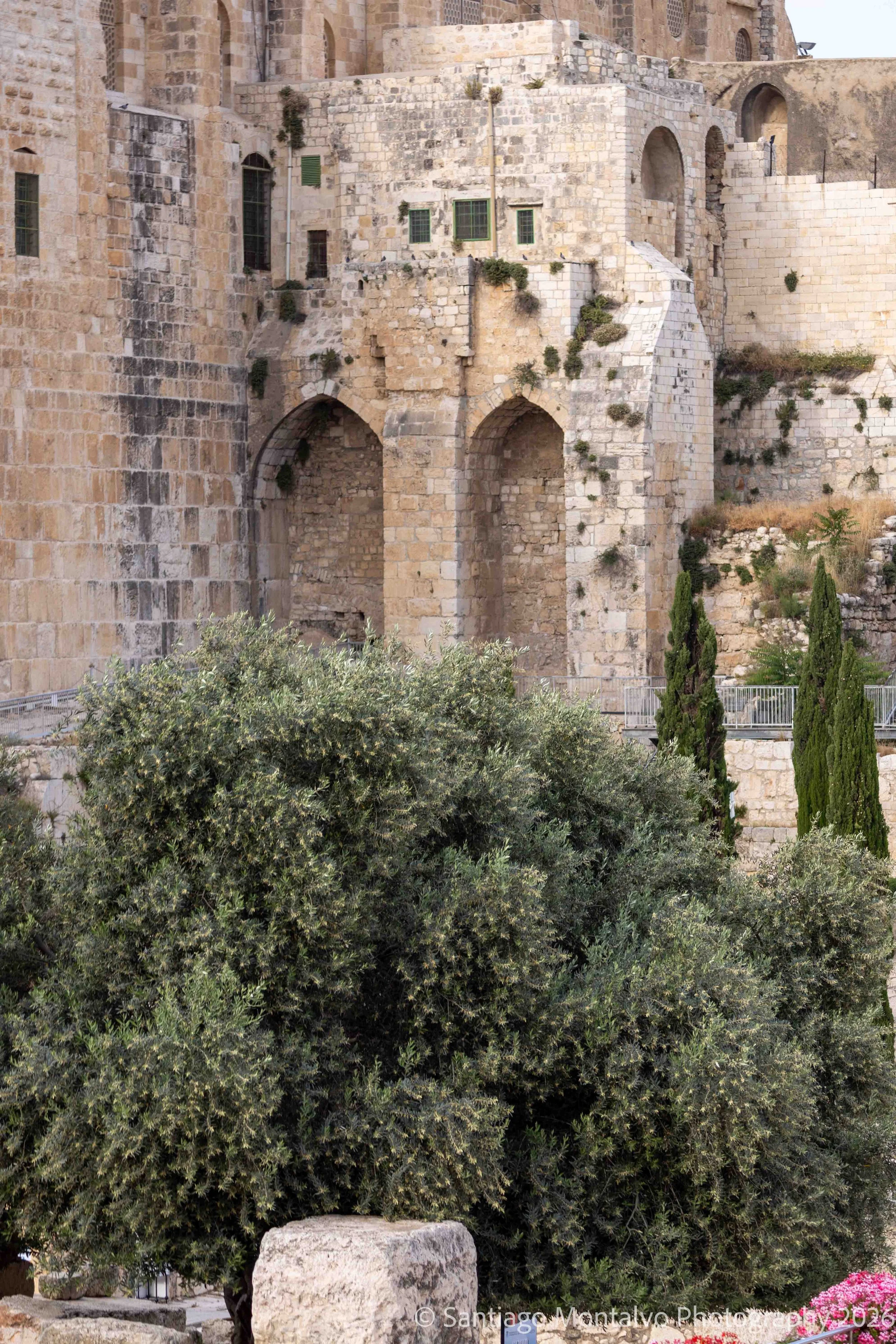 Jerusalem 2022-17.jpg