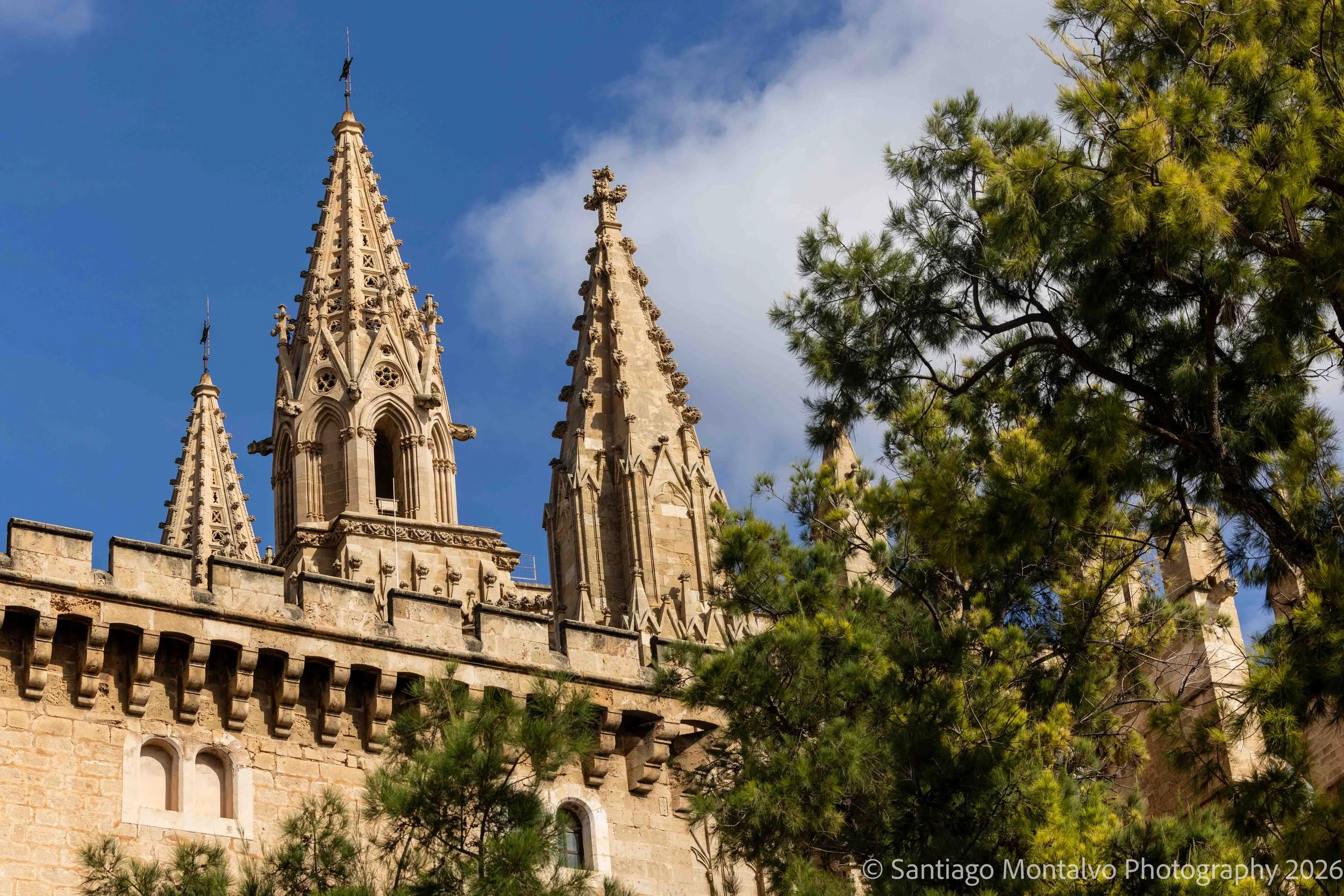 Palma de Mallorca-1.jpg