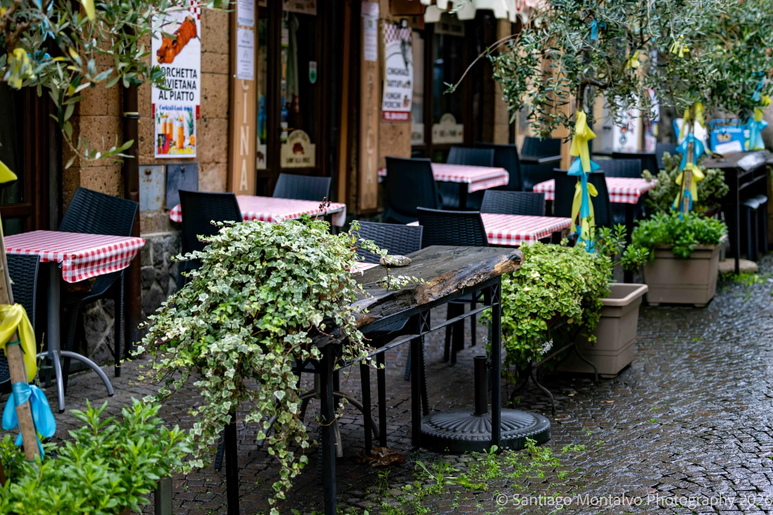 Orvieto Collection-8.jpg