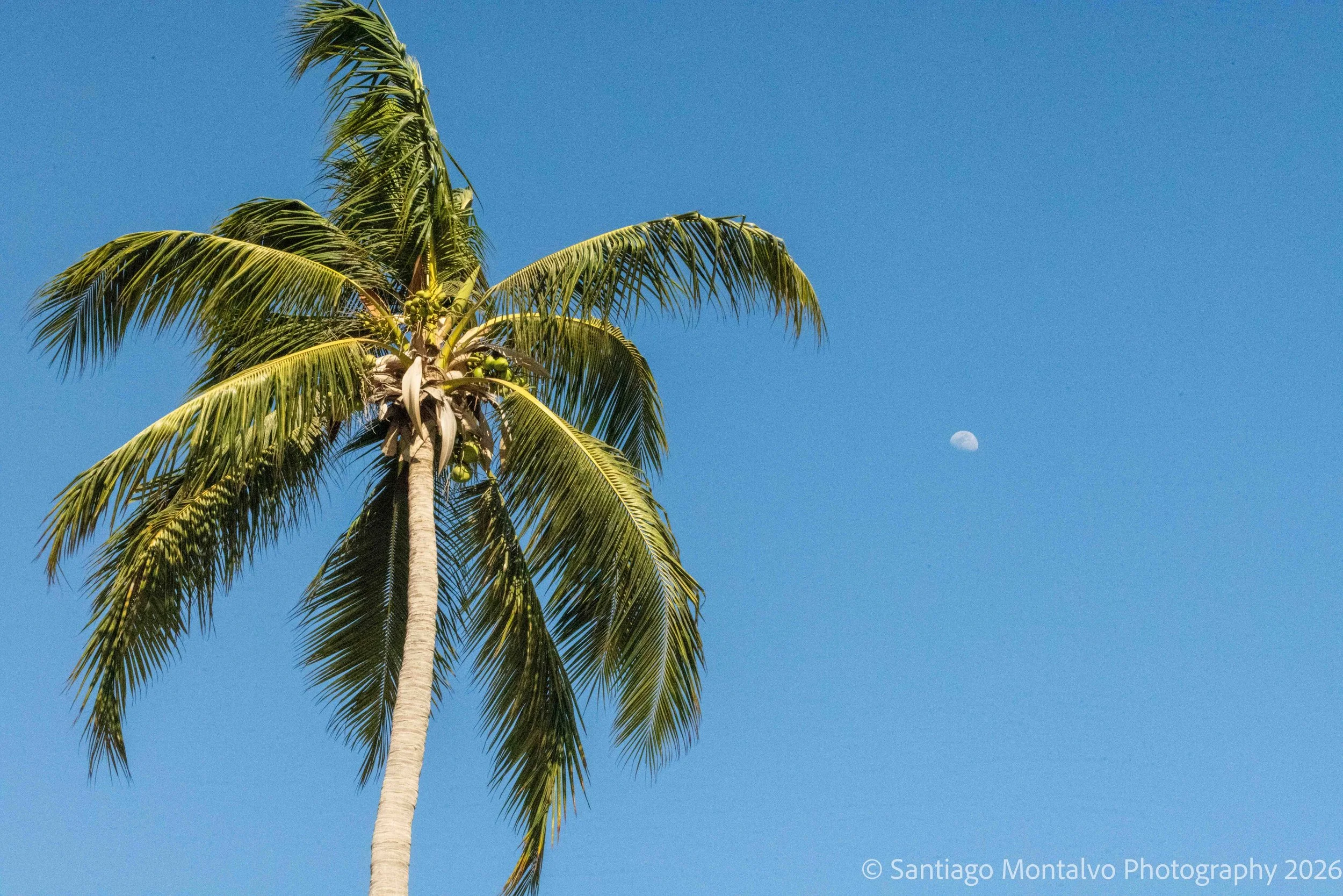 Mexico Cabo Puerto Vallarta-6.jpg