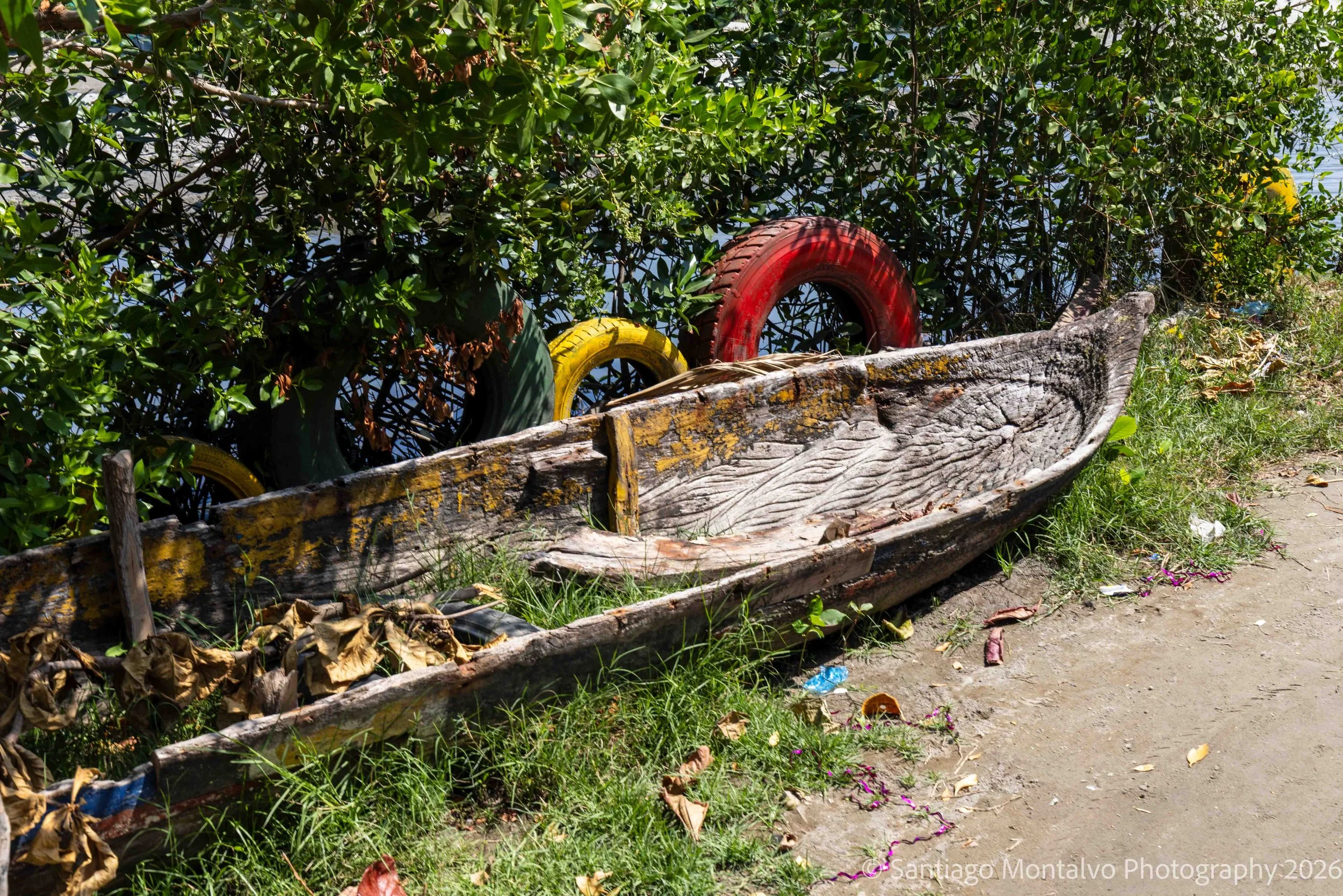 Cartagena 2022-8.jpg