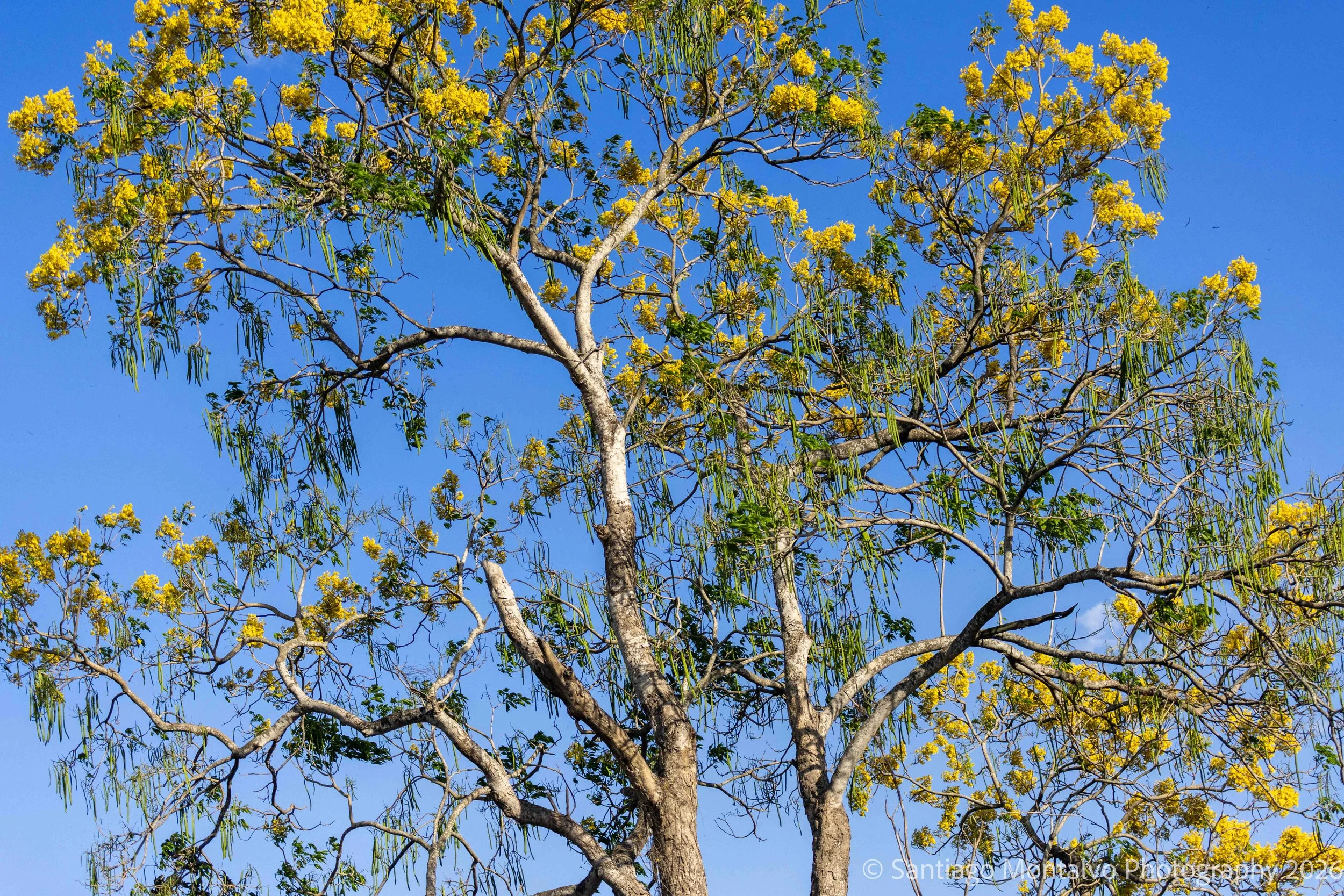 Mexico Cabo Cancun-14.jpg