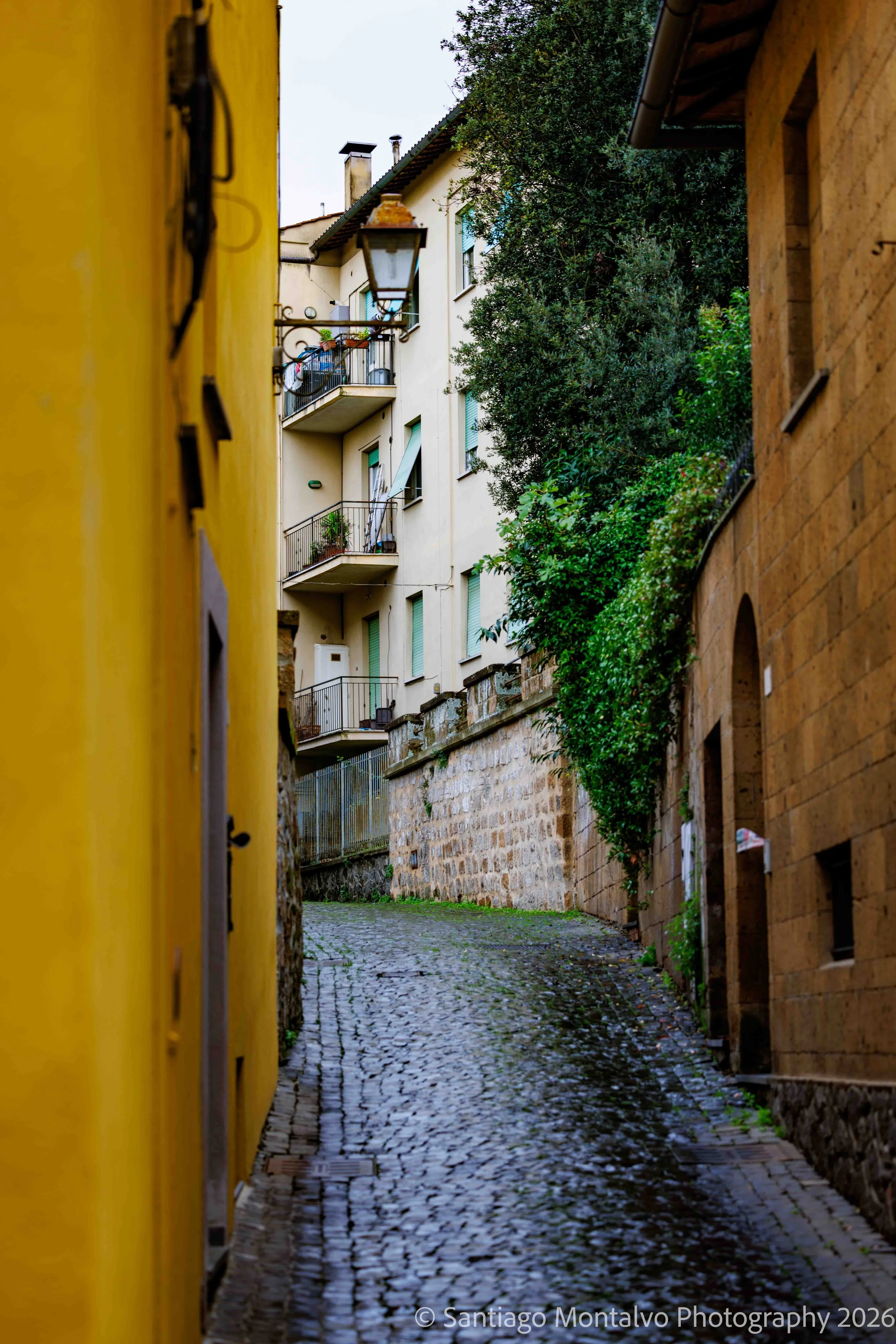 Orvieto Collection-7.jpg