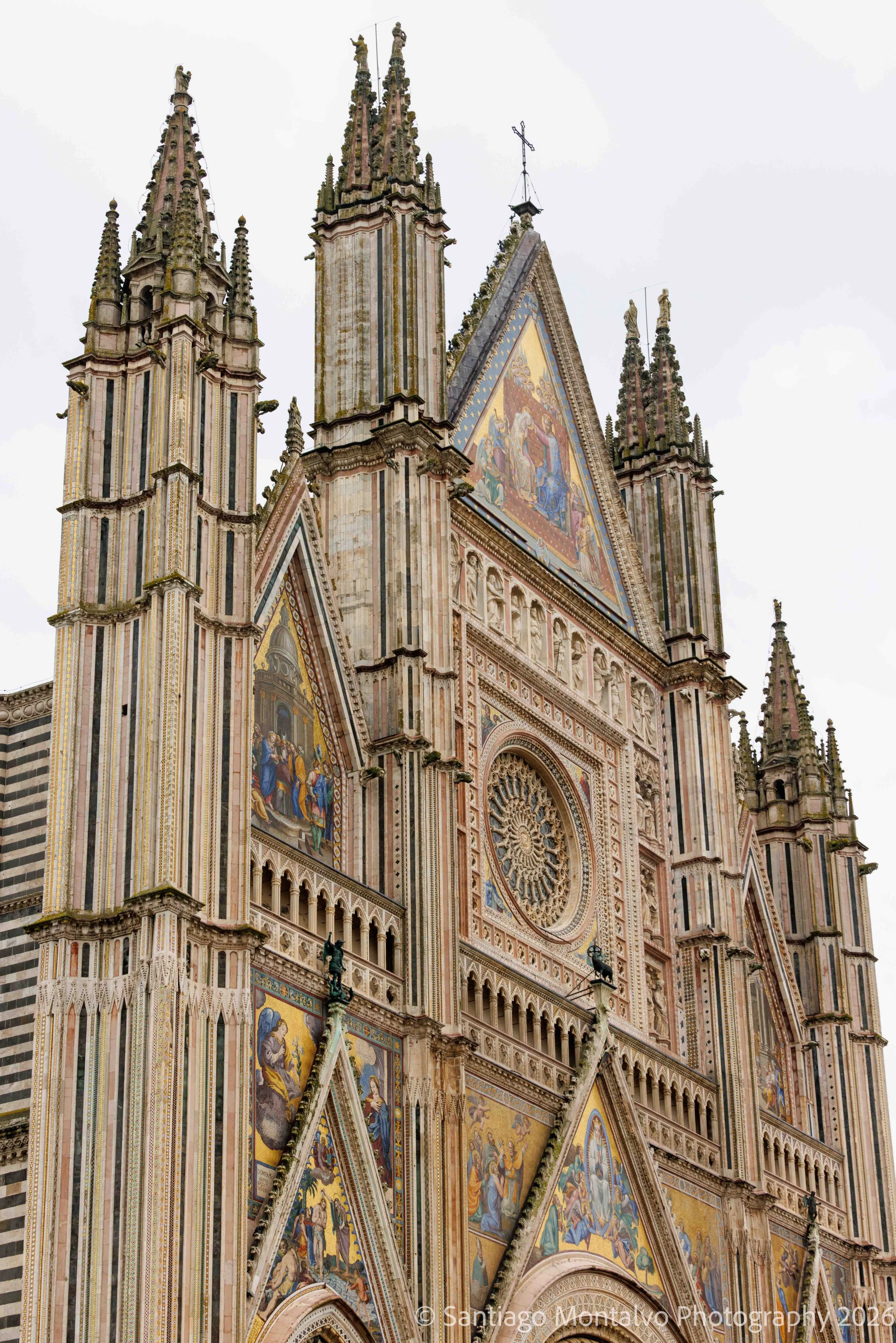 Orvieto Collection-14.jpg