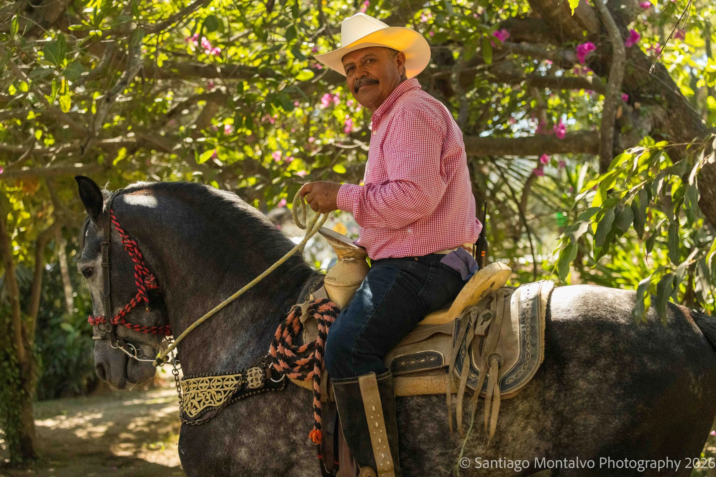 The Horseman — Puerto Vallarta, Mexico. A quiet encounter with a rider beneath the shade of trees.