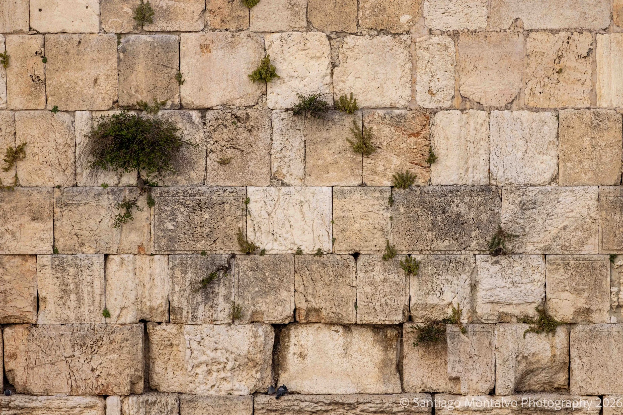 Jerusalem 2022-22.jpg