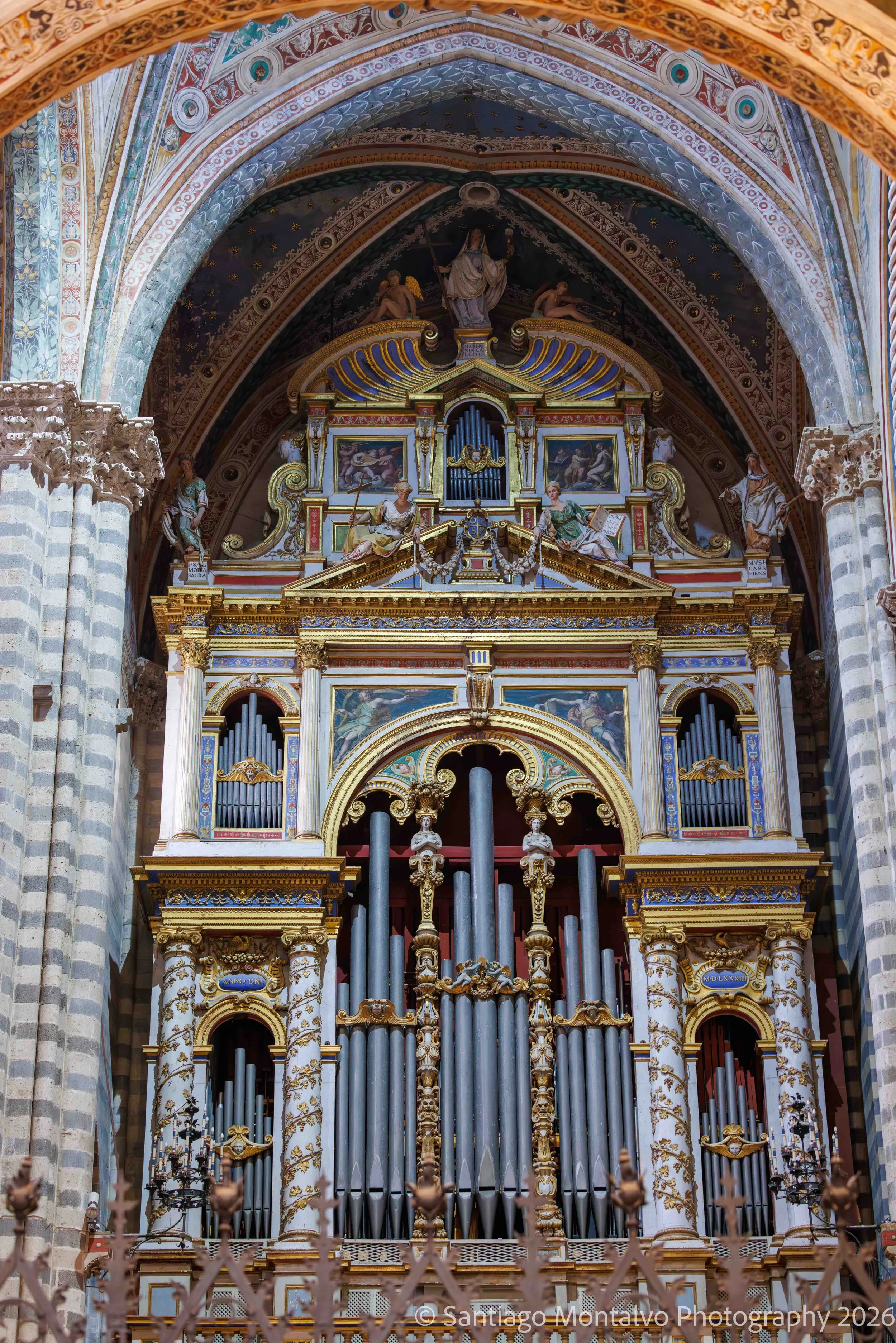 Orvieto Collection-27.jpg