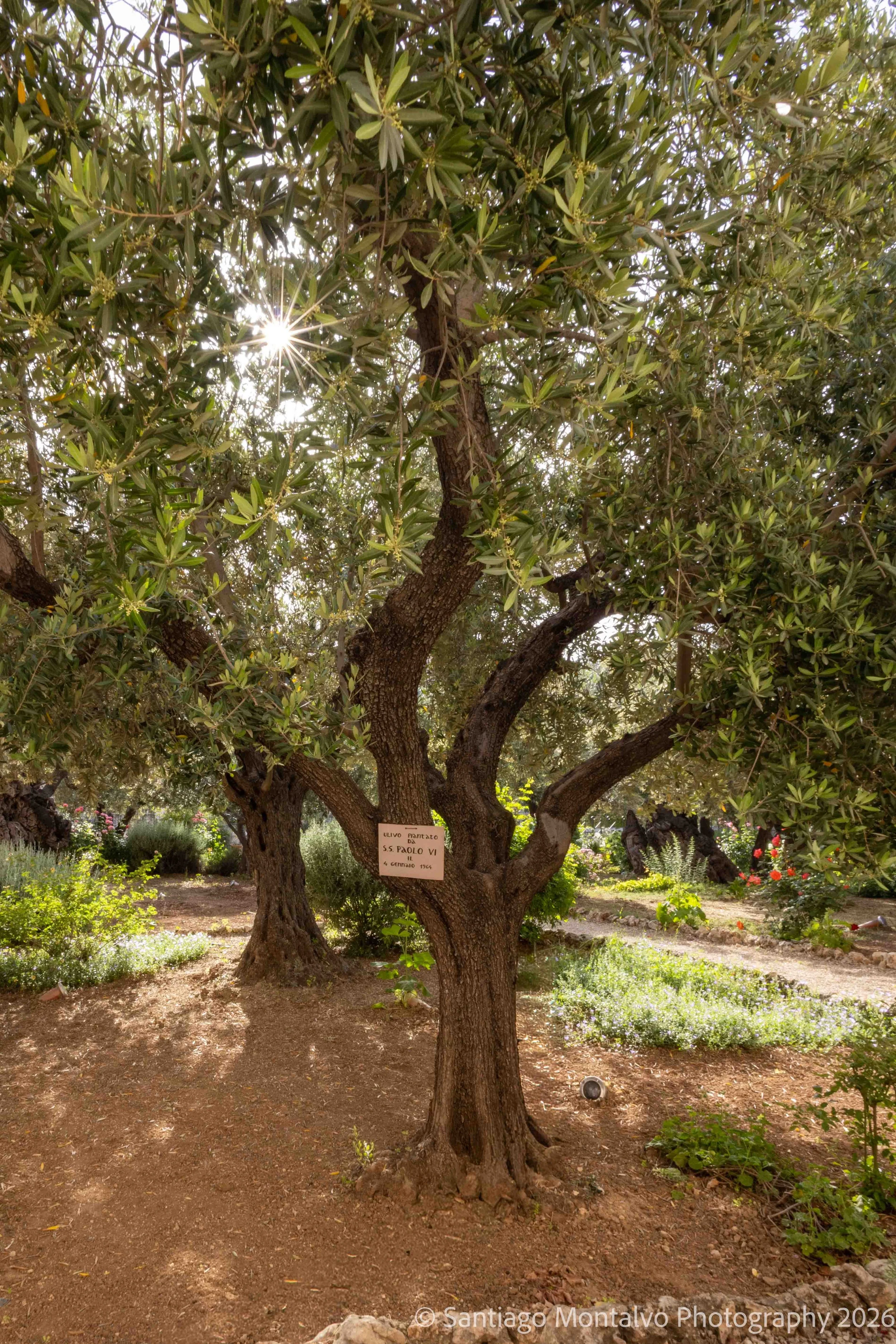 Jerusalem 2022-15.jpg