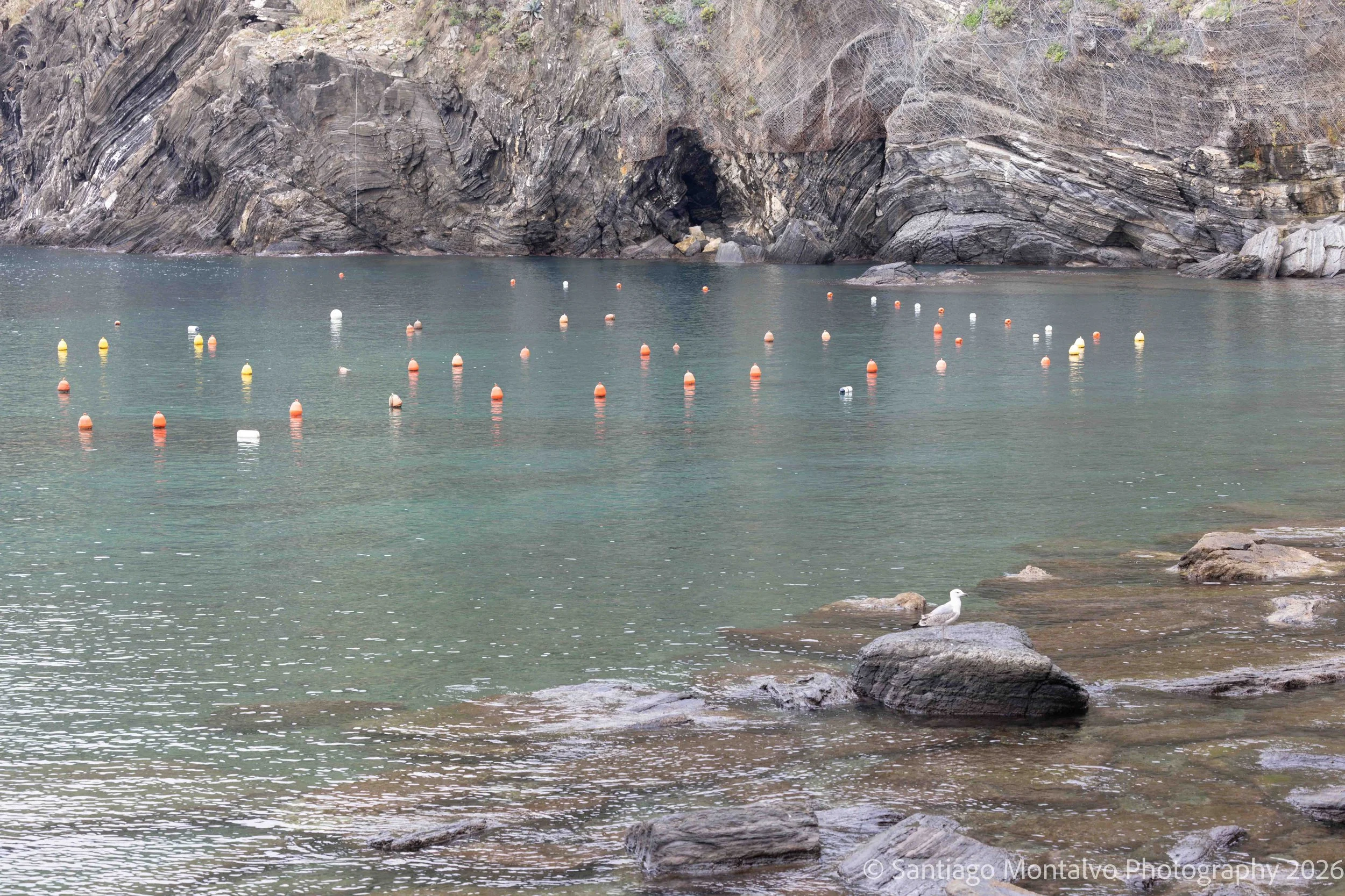 Riomaggiore Collection-8.jpg