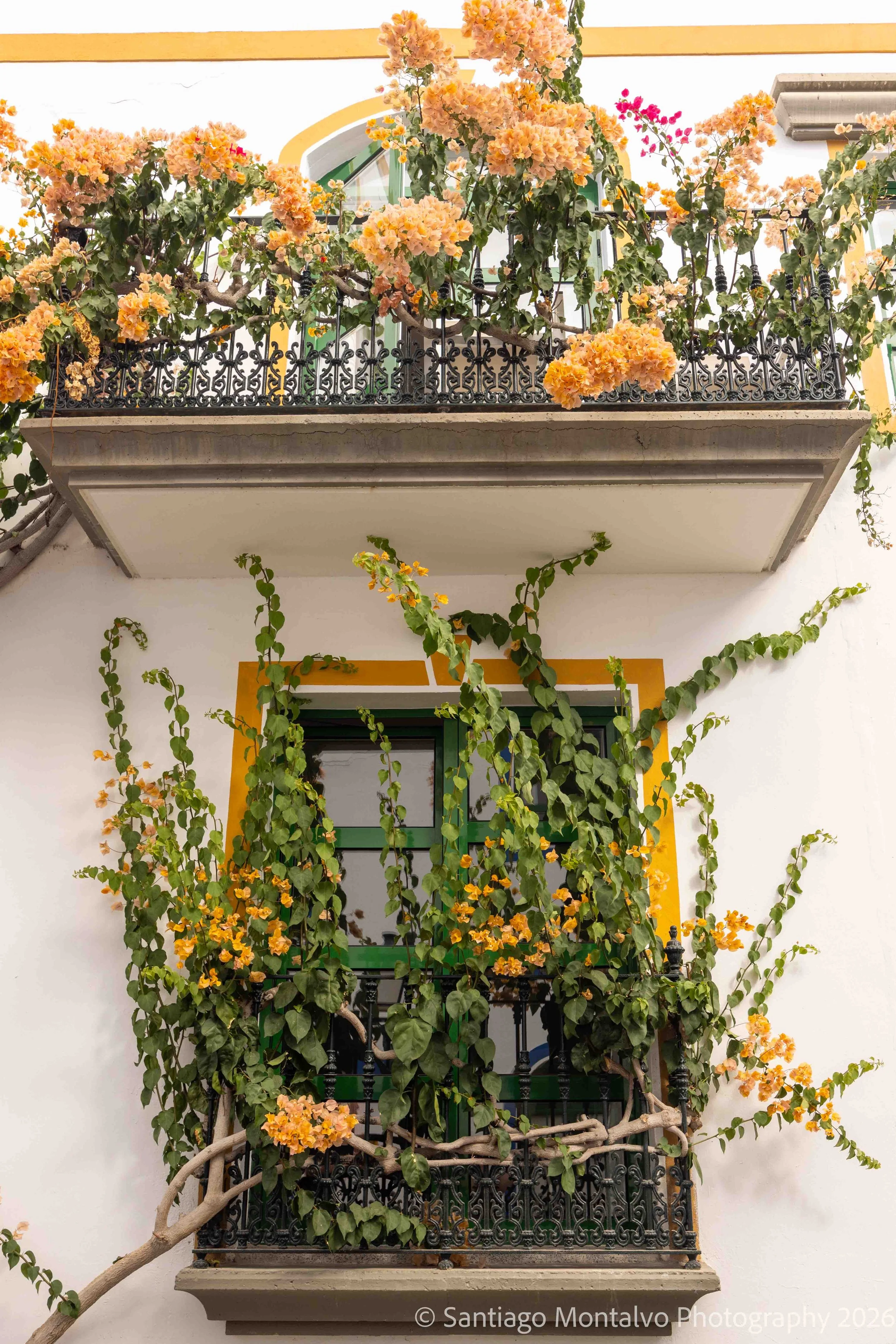 The Flowering Balcony — Gran Canaria, Spain. An abundance of flowers frames a traditional island balcony.