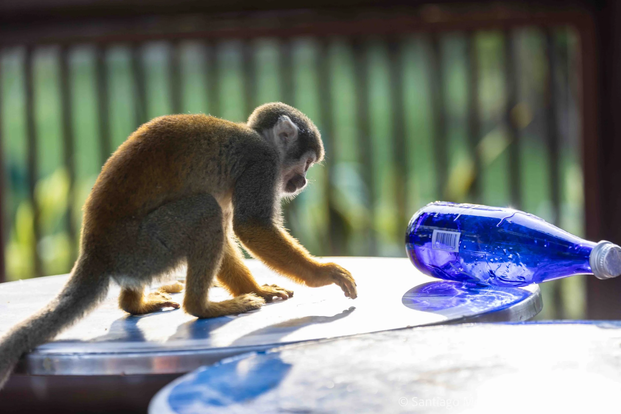 Cartagena 2022-43.jpg