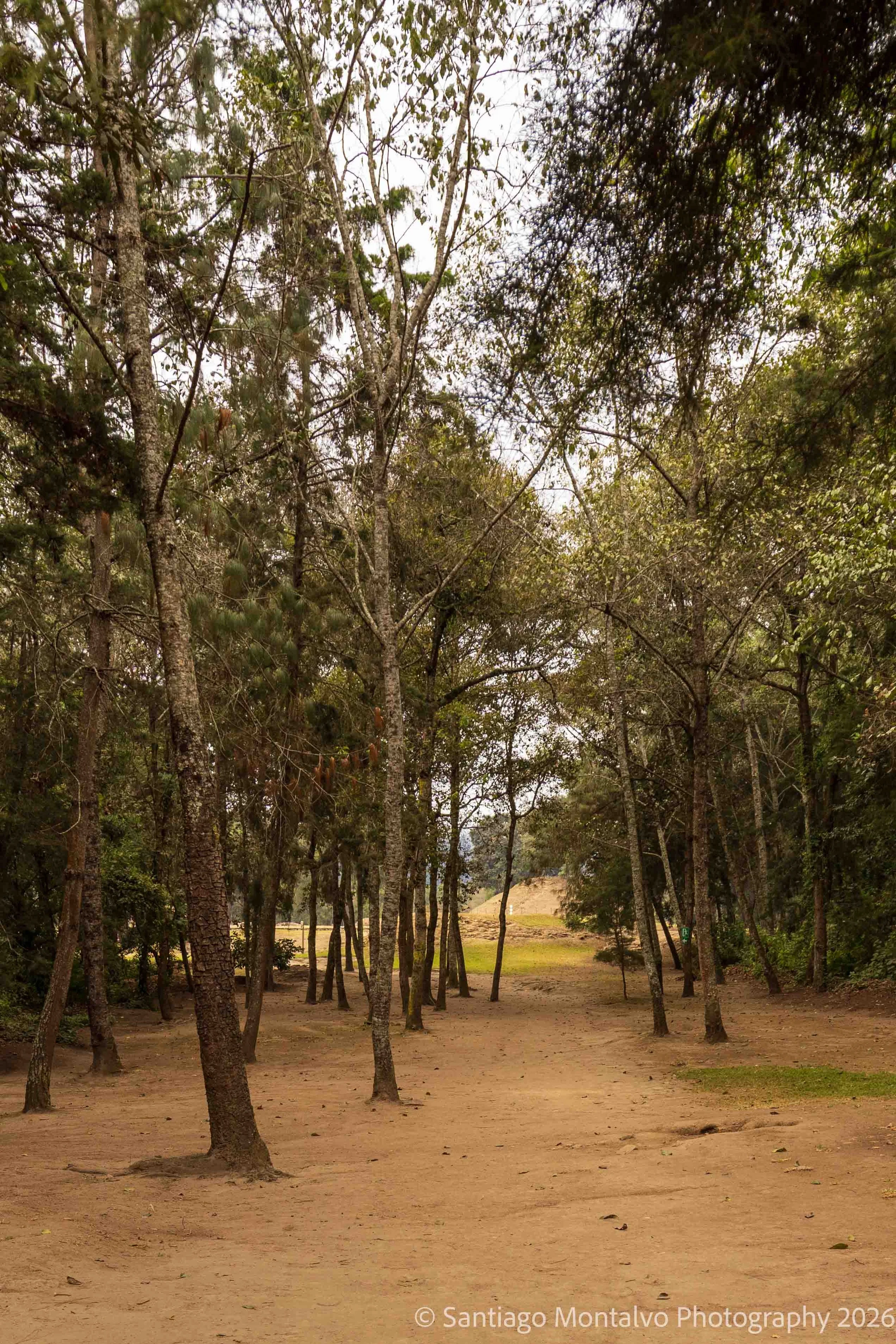 Mexico Cabo Cancun-11.jpg