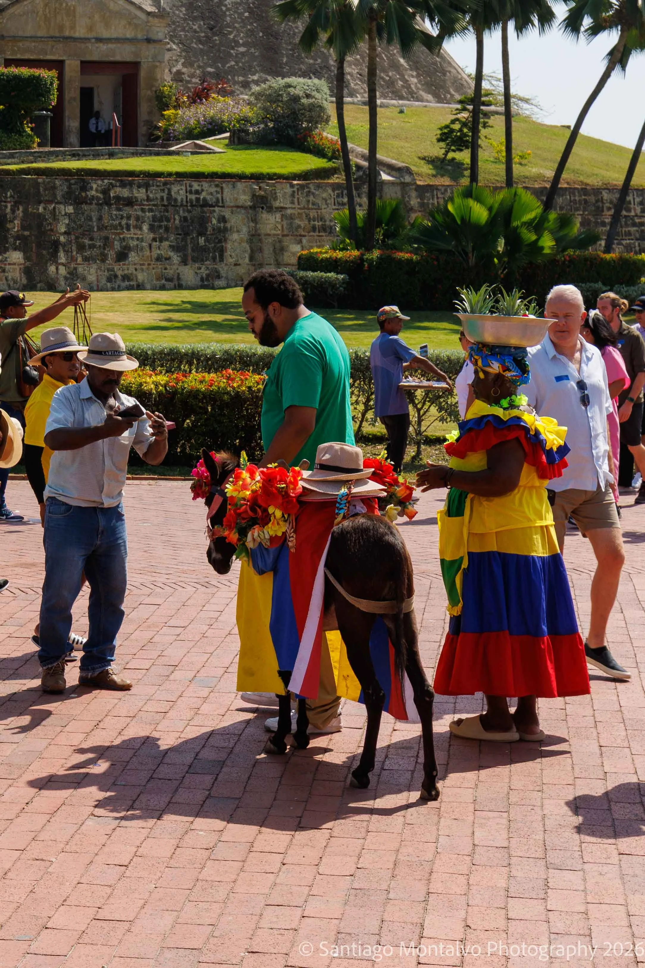 Cartagena 2022-4.jpg