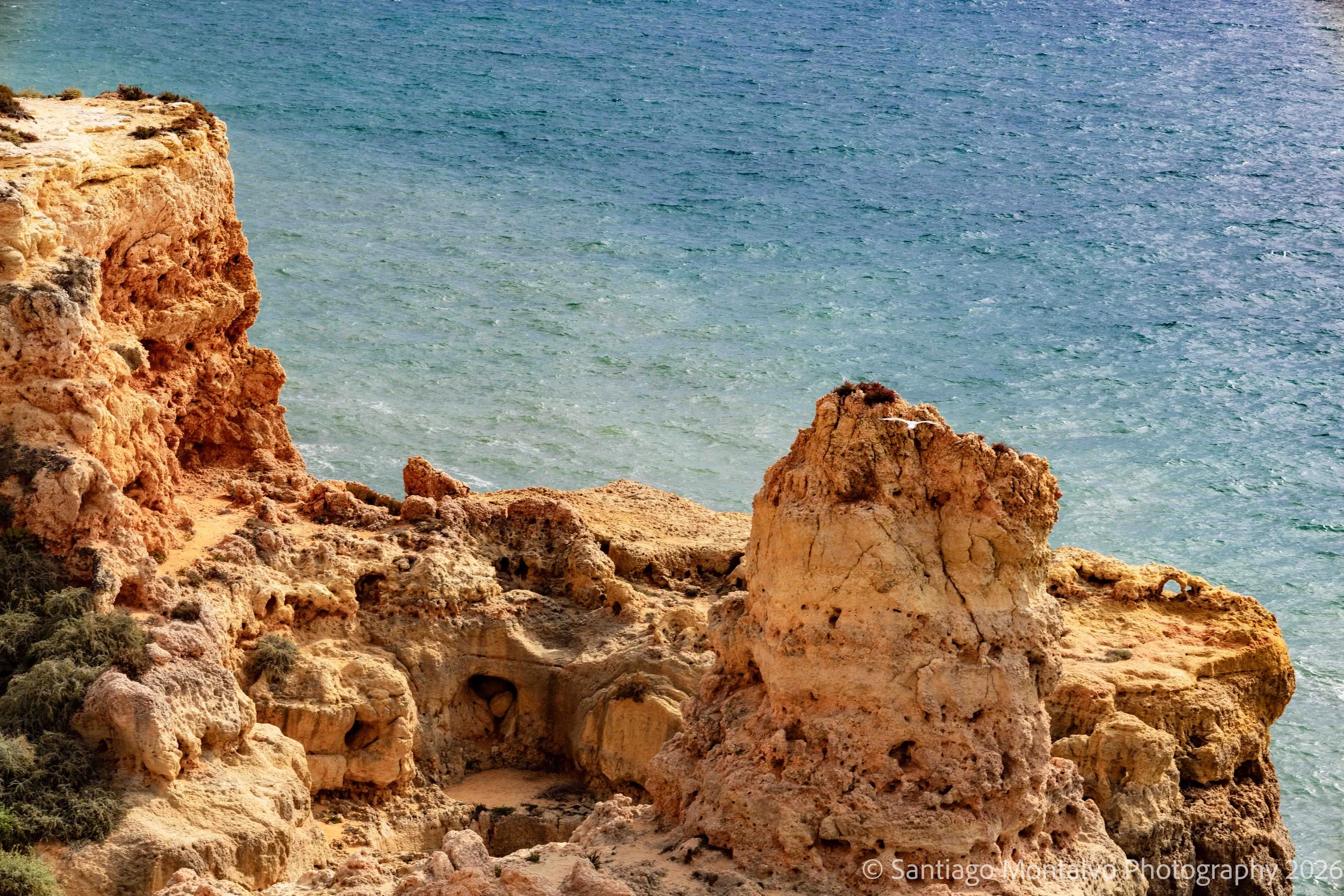 Sculpted by the Atlantic — Lagos, Portugal. Ancient limestone formations shaped by the enduring power of the sea.