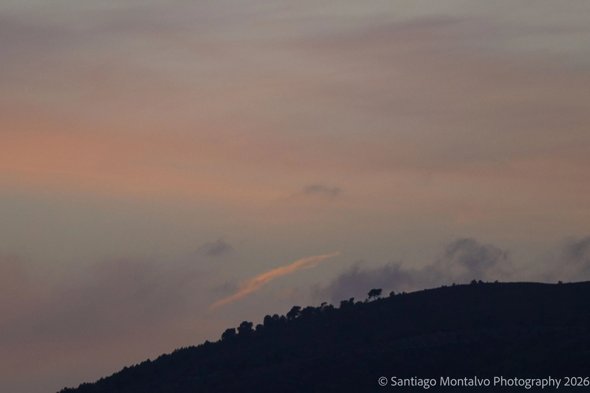 Palma de Mallorca-25.jpg