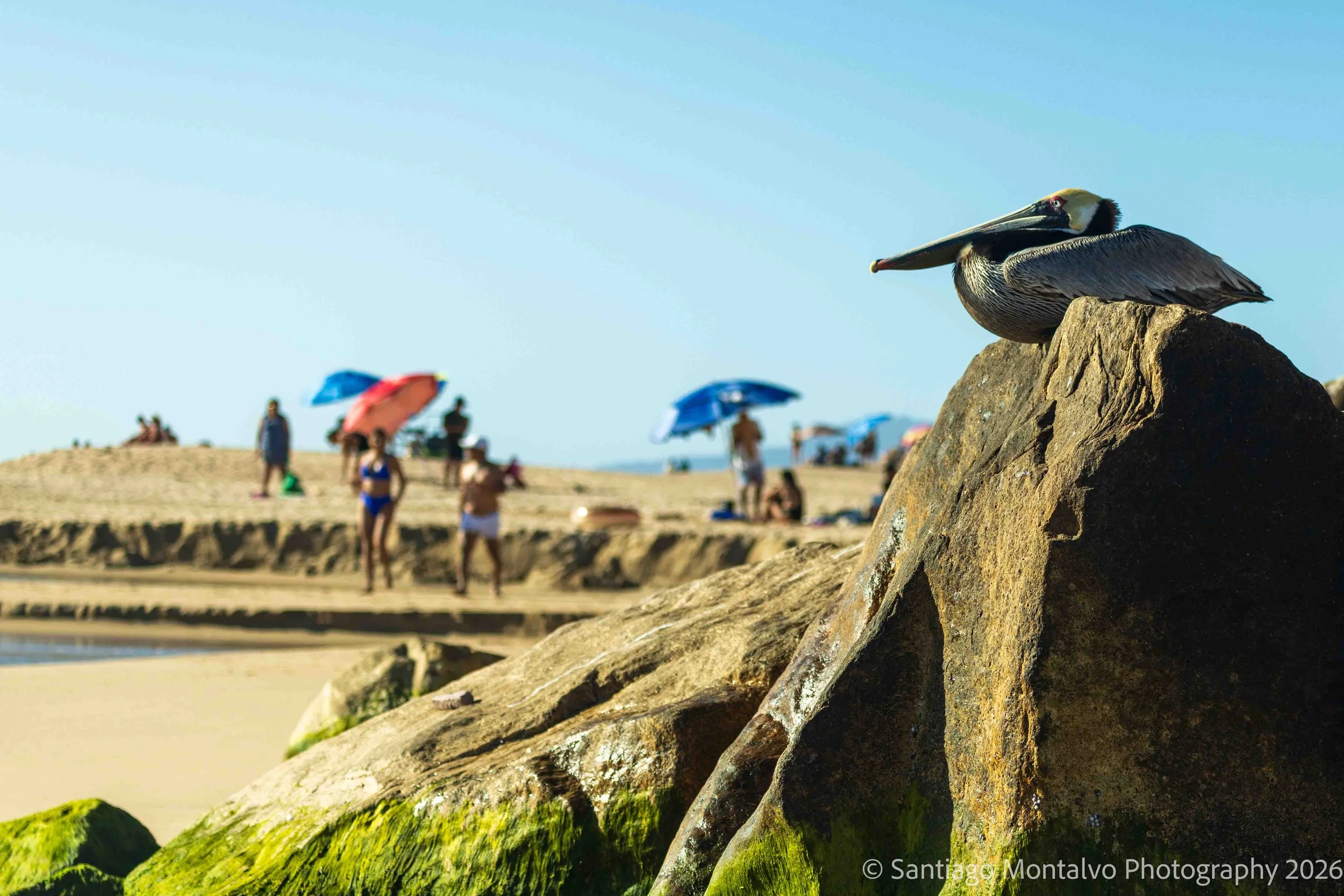 Mexico Cabo Puerto Vallarta-9.jpg
