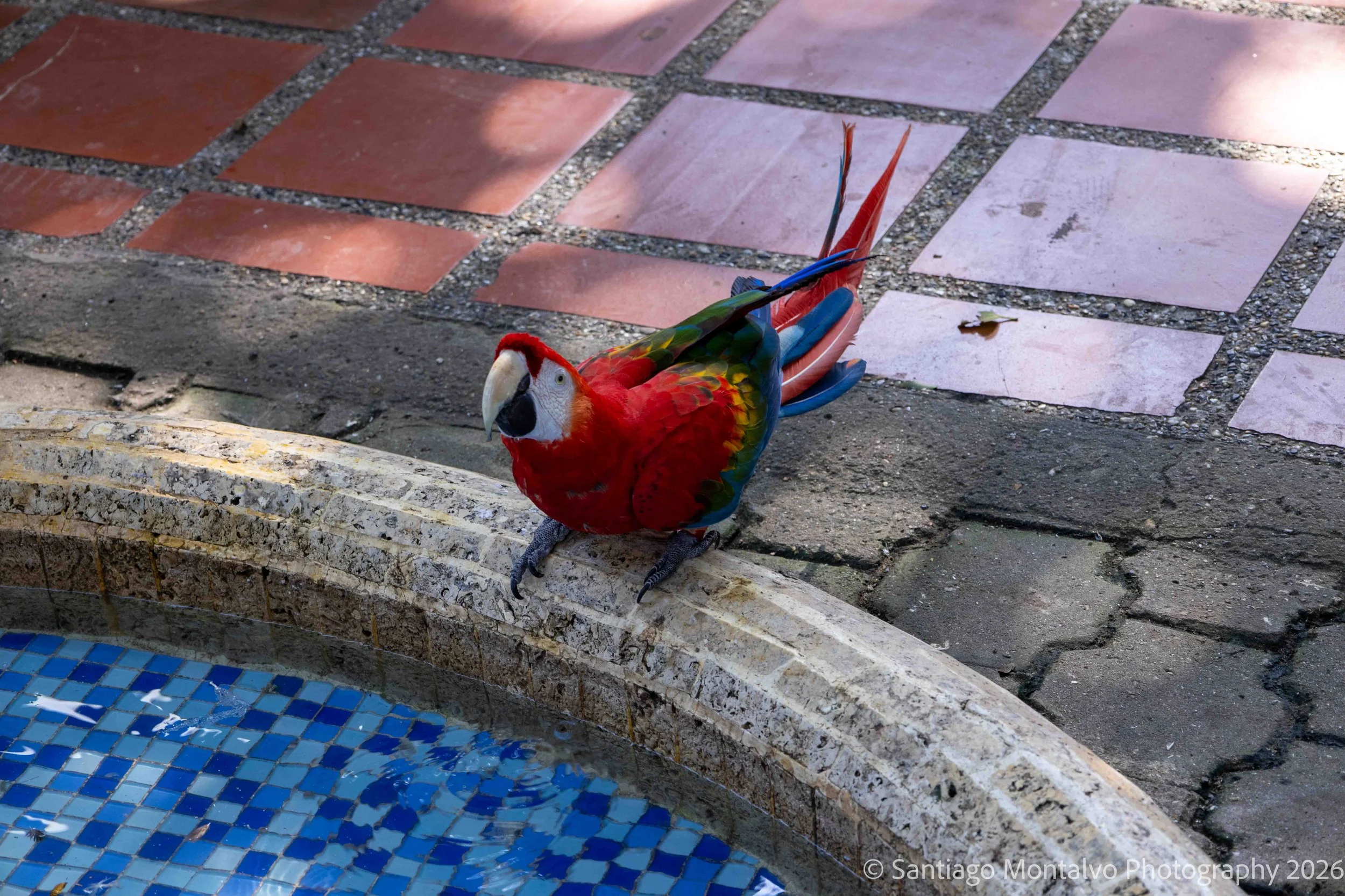 Cartagena 2022-35.jpg