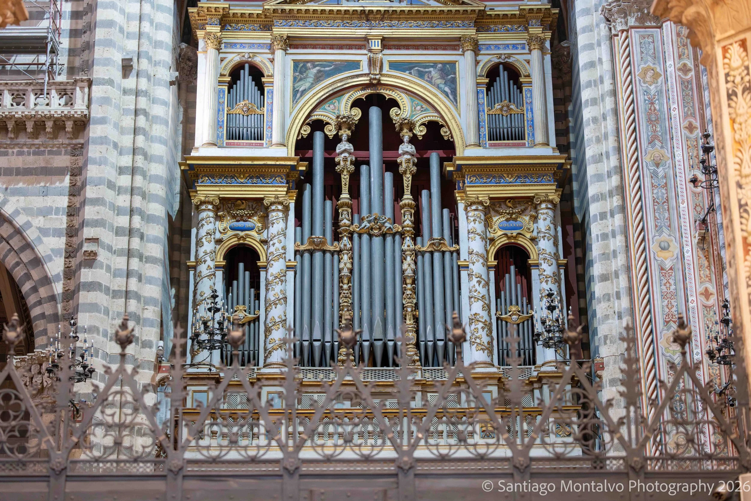 Orvieto Collection-26.jpg