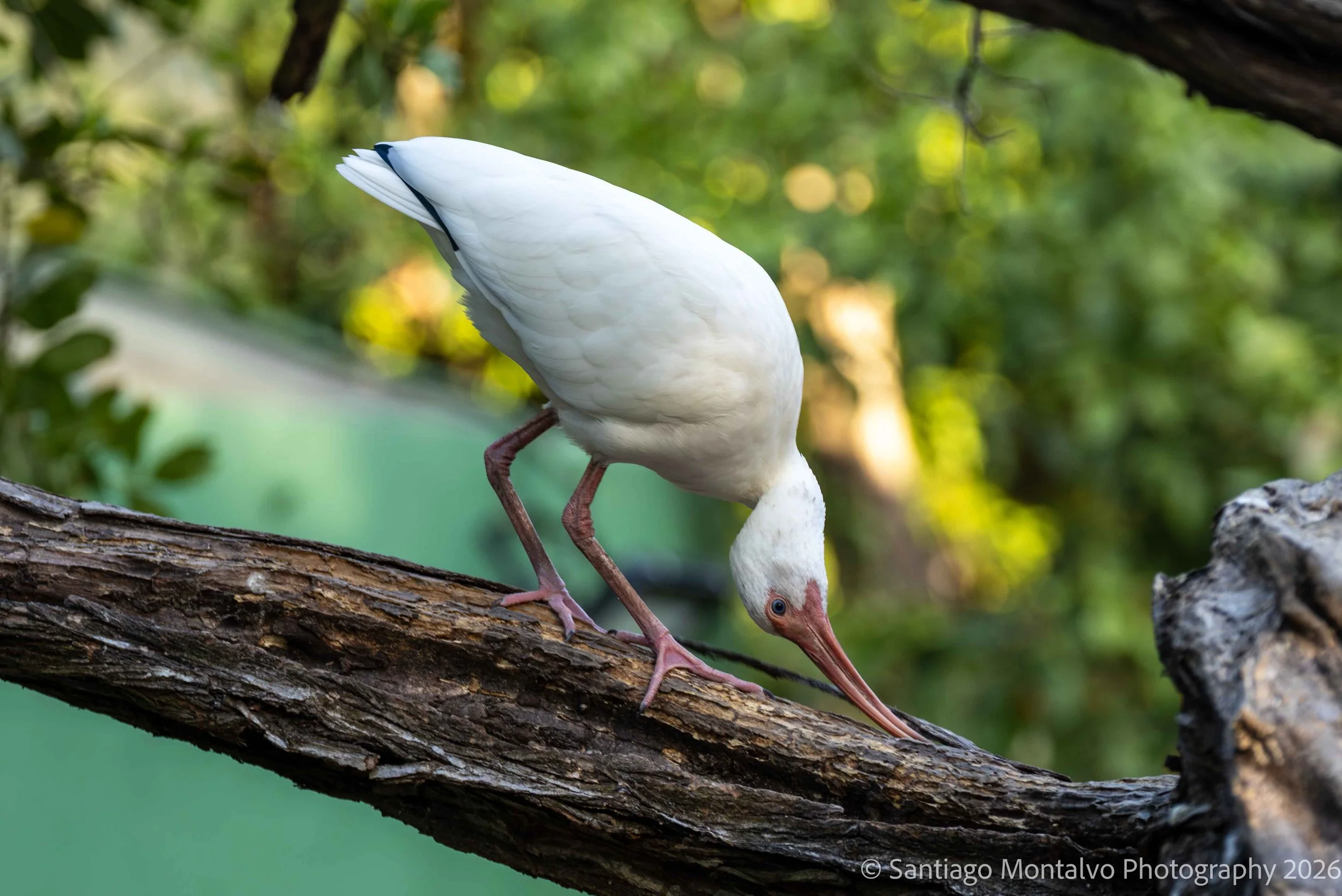 Cartagena 2022-44.jpg