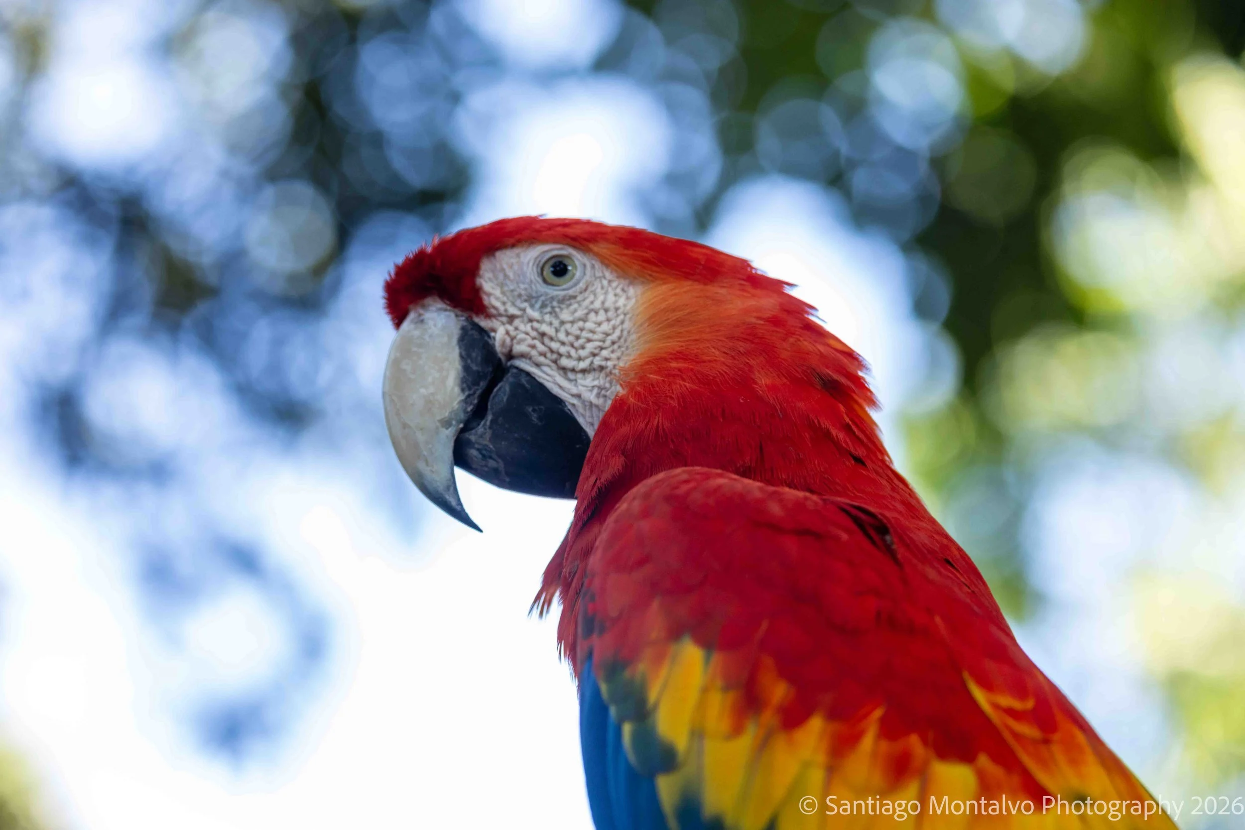 Cartagena 2022-39.jpg