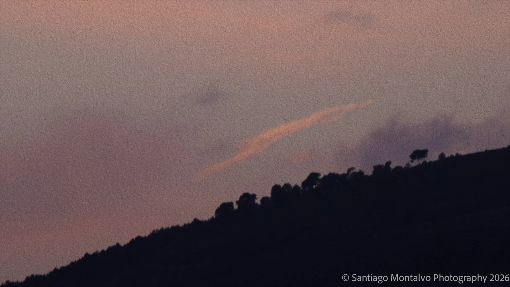 Palma de Mallorca-24.jpg