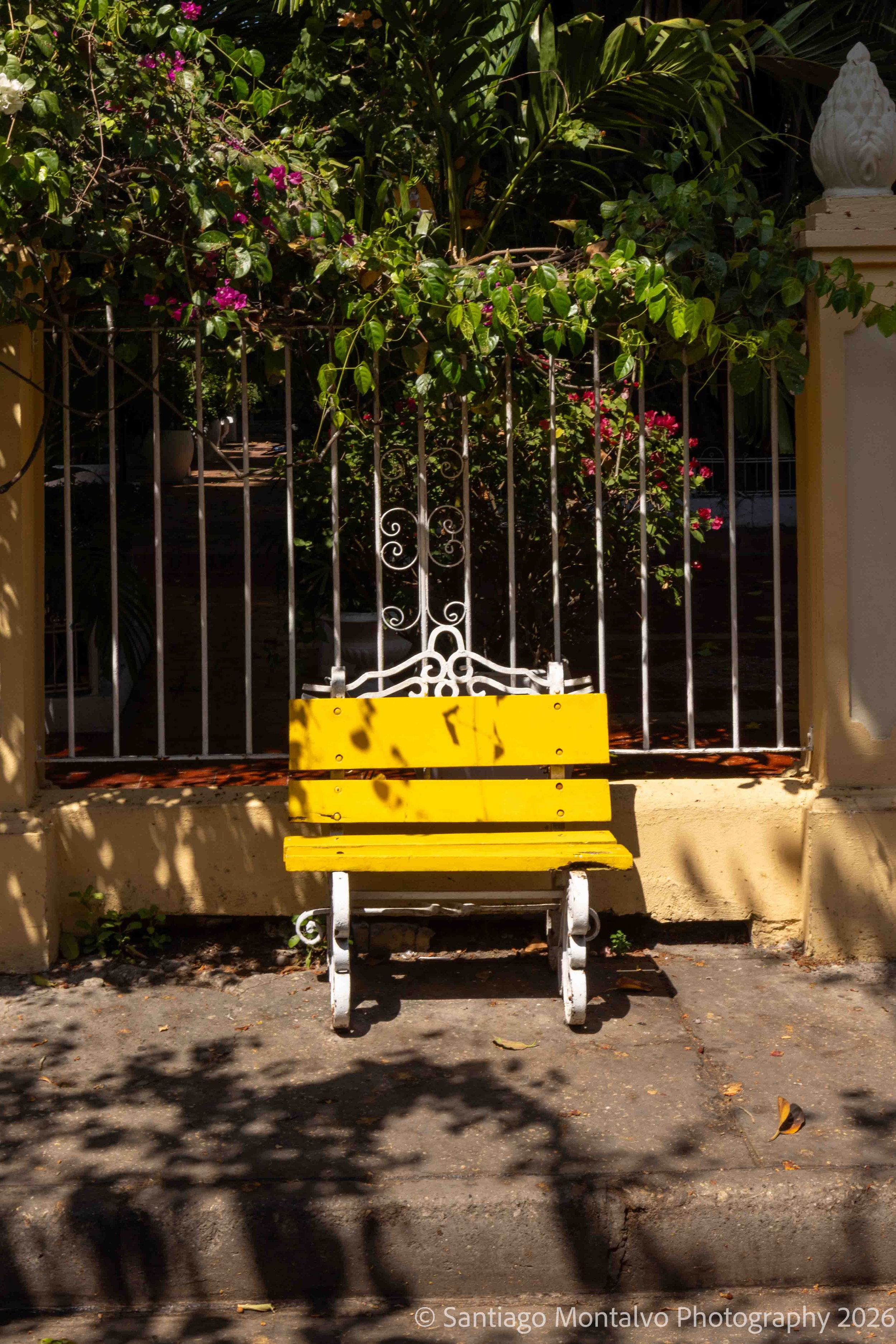 Cartagena 2022-33.jpg