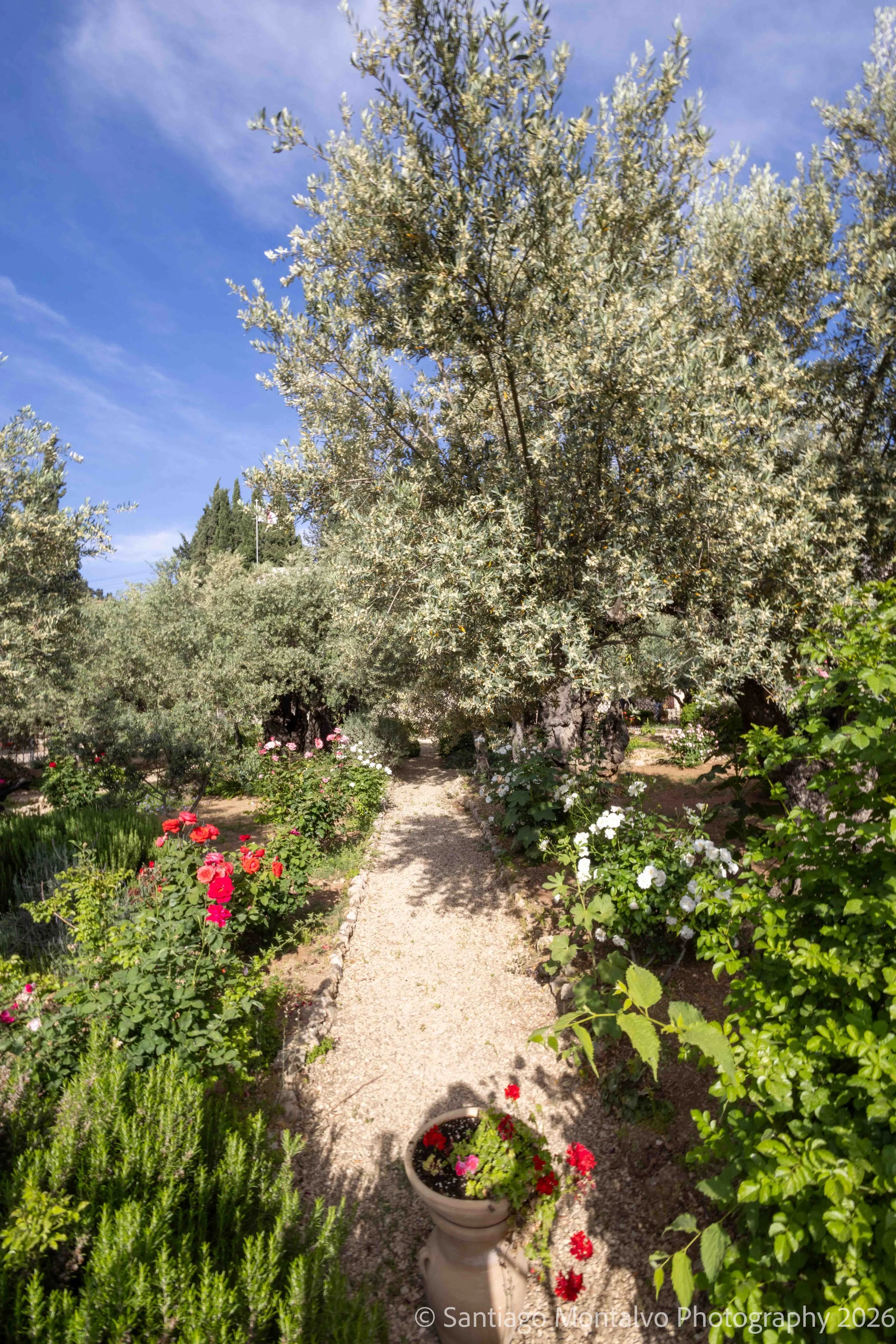 Jerusalem 2022-11.jpg