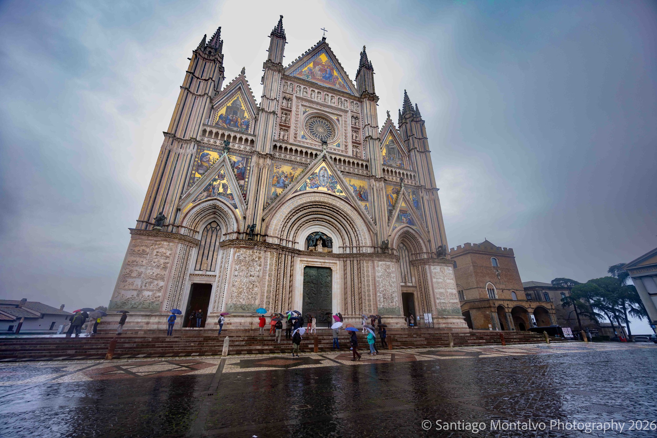 A Cathedral of Wonder
