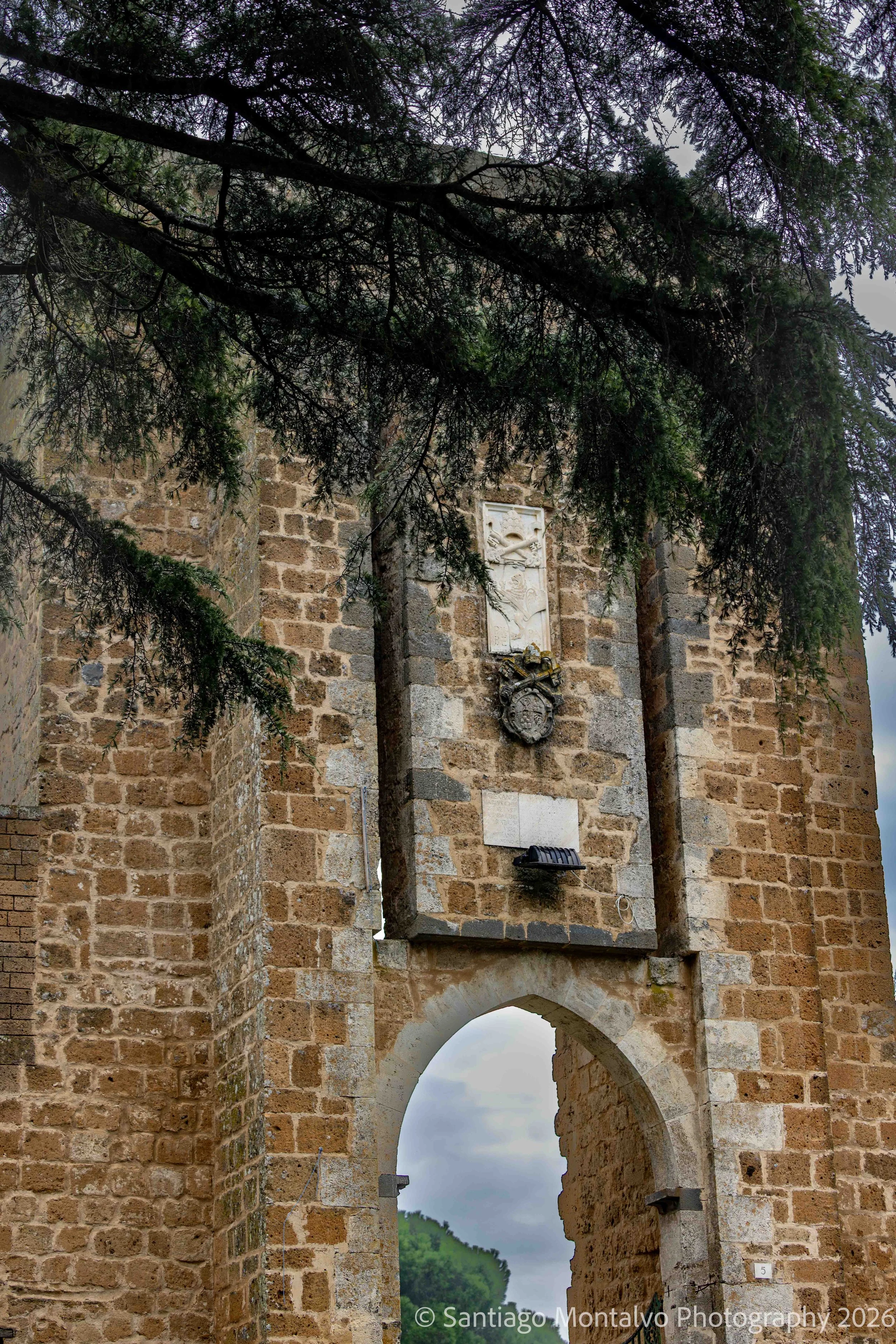 Orvieto Collection-4.jpg