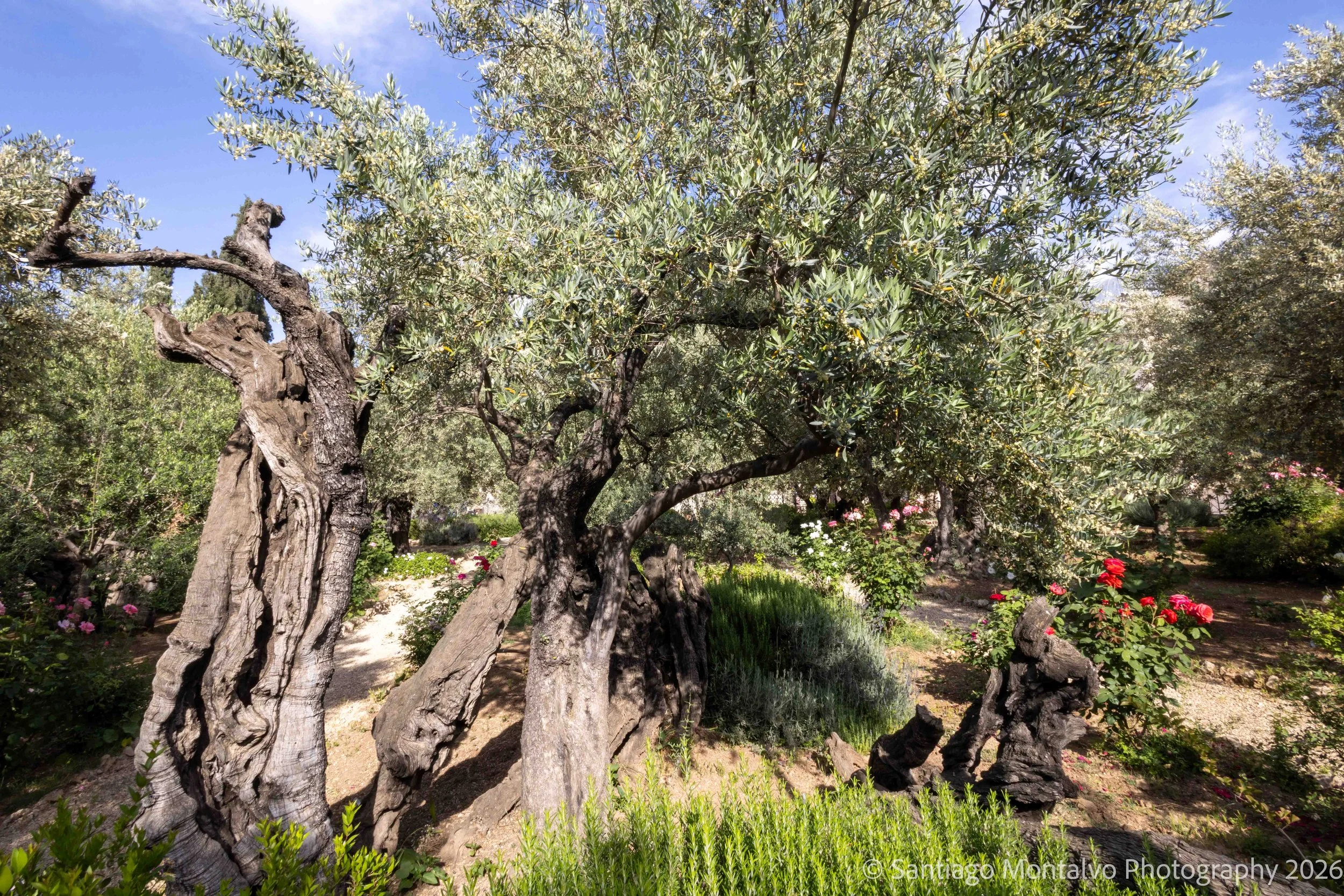 Jerusalem 2022-10.jpg