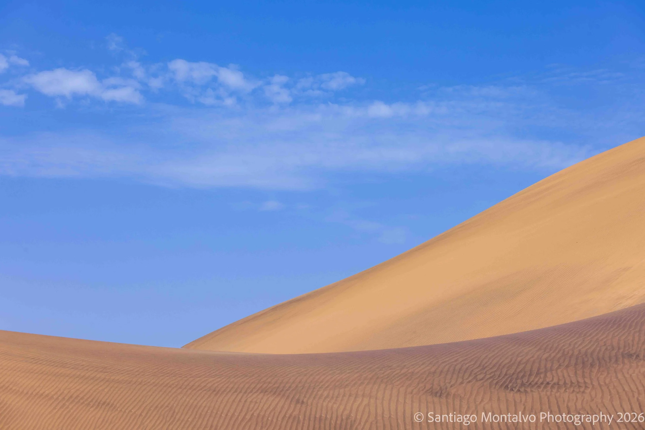 The Desert's Embrace — Namibia. A quiet landscape of sweeping sand and warm earth tones.