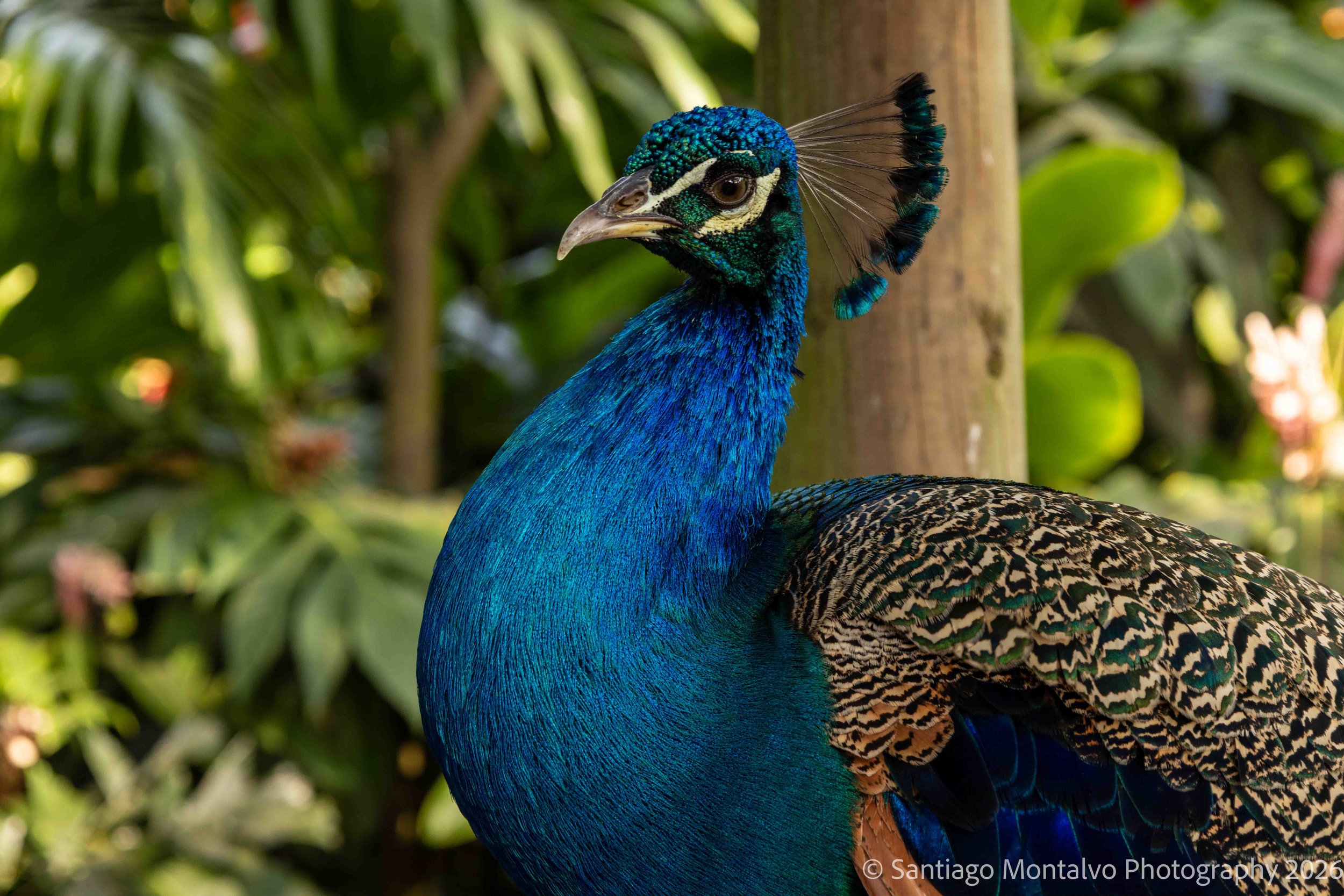 Cartagena 2022-36.jpg