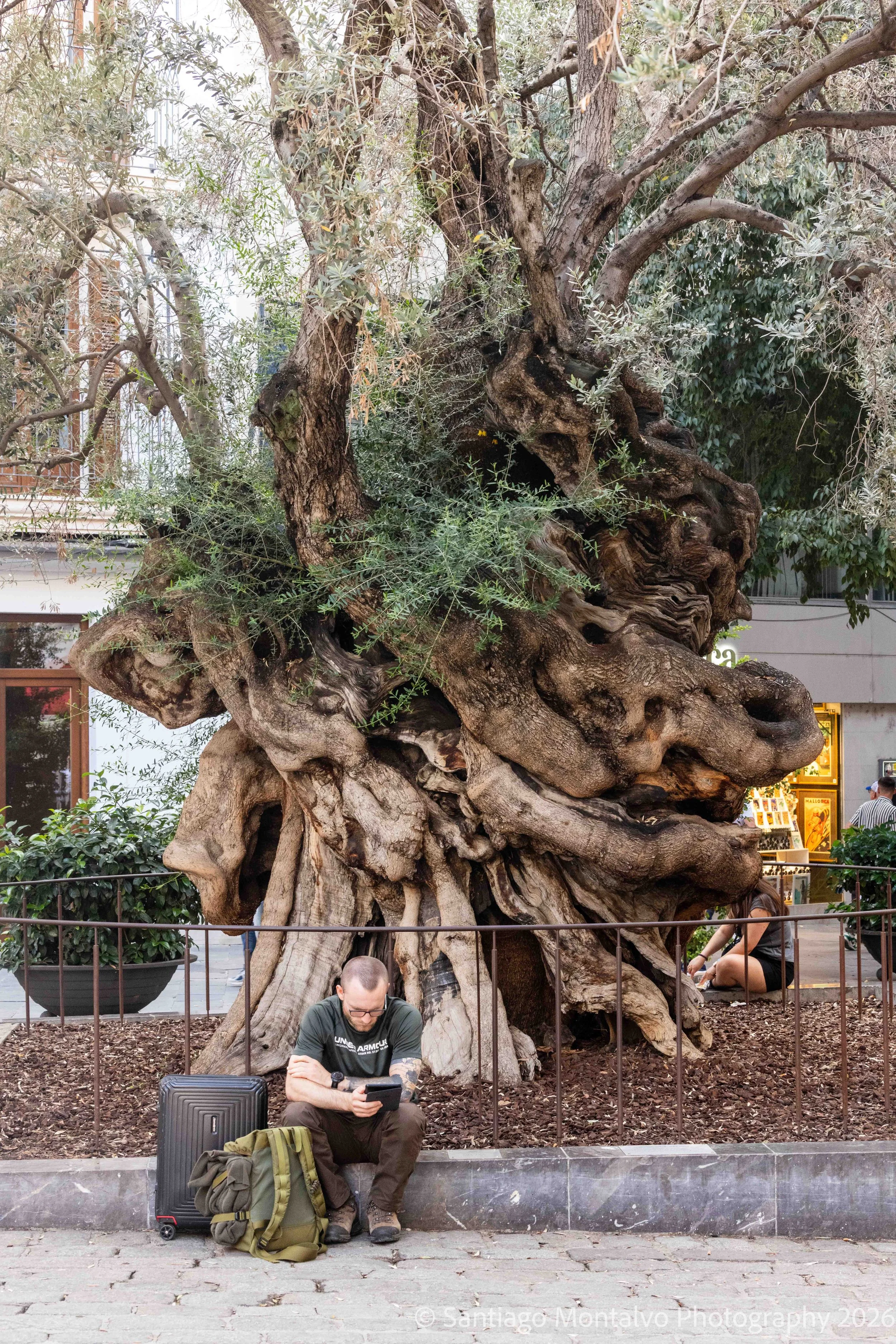 Palma de Mallorca-19.jpg