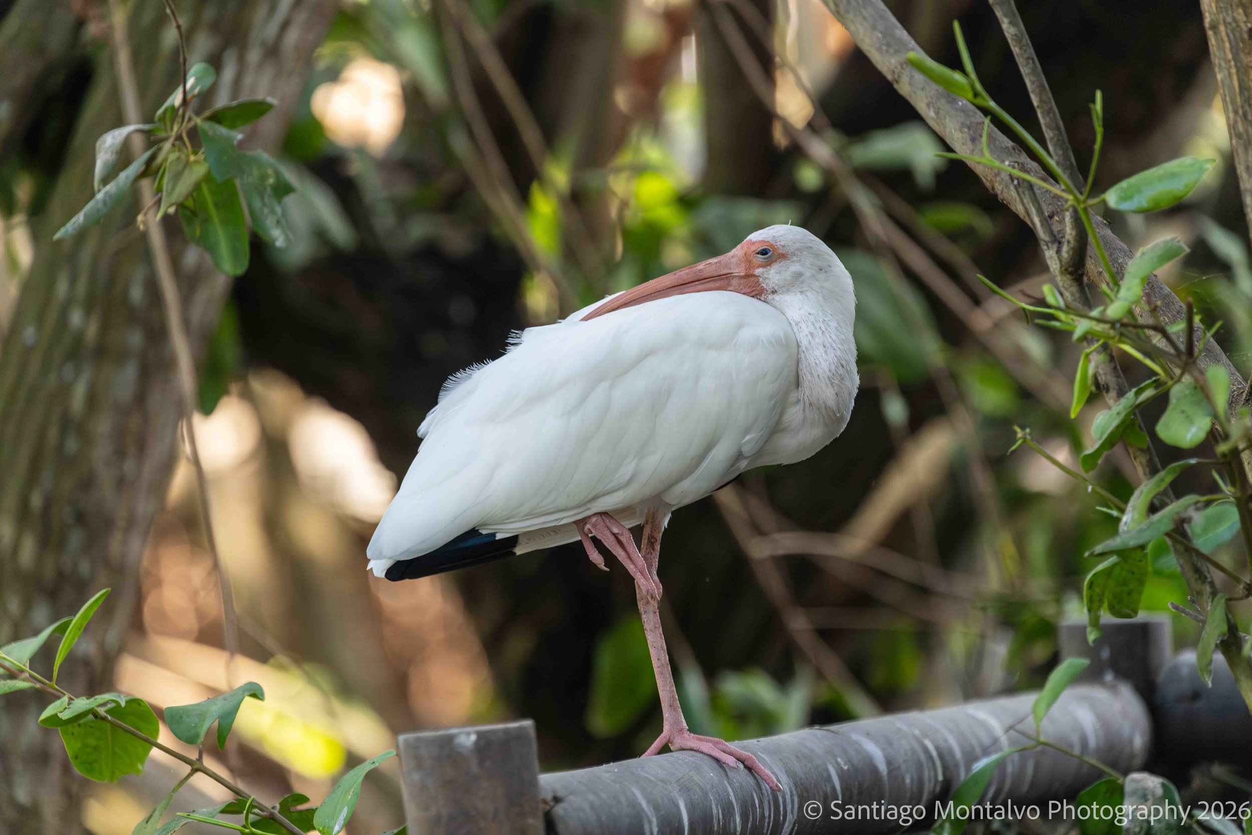 Cartagena 2022-40.jpg