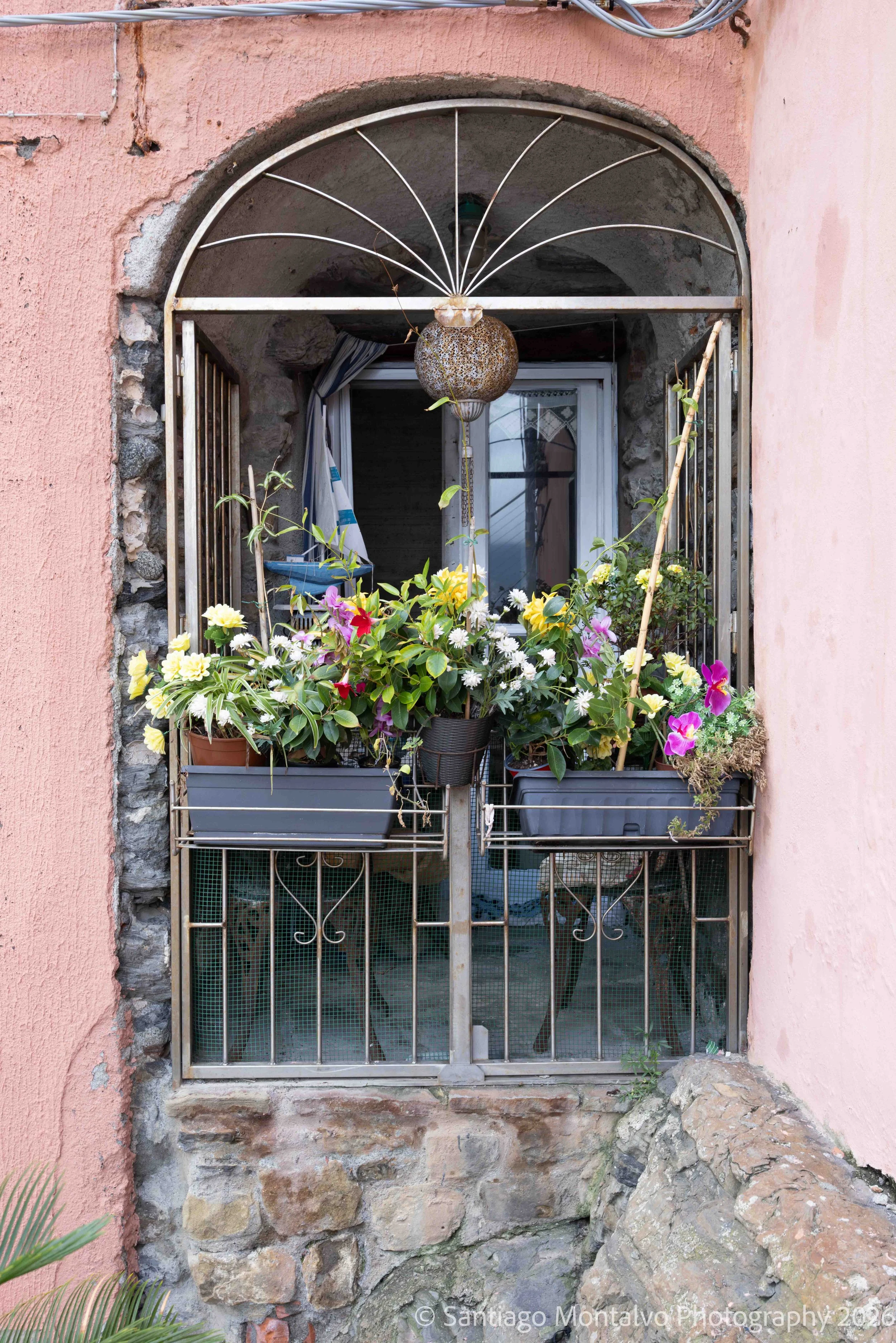 Flowers at the Window — Cinque Terre, Italy. A flowering window brings life to an old village wall.