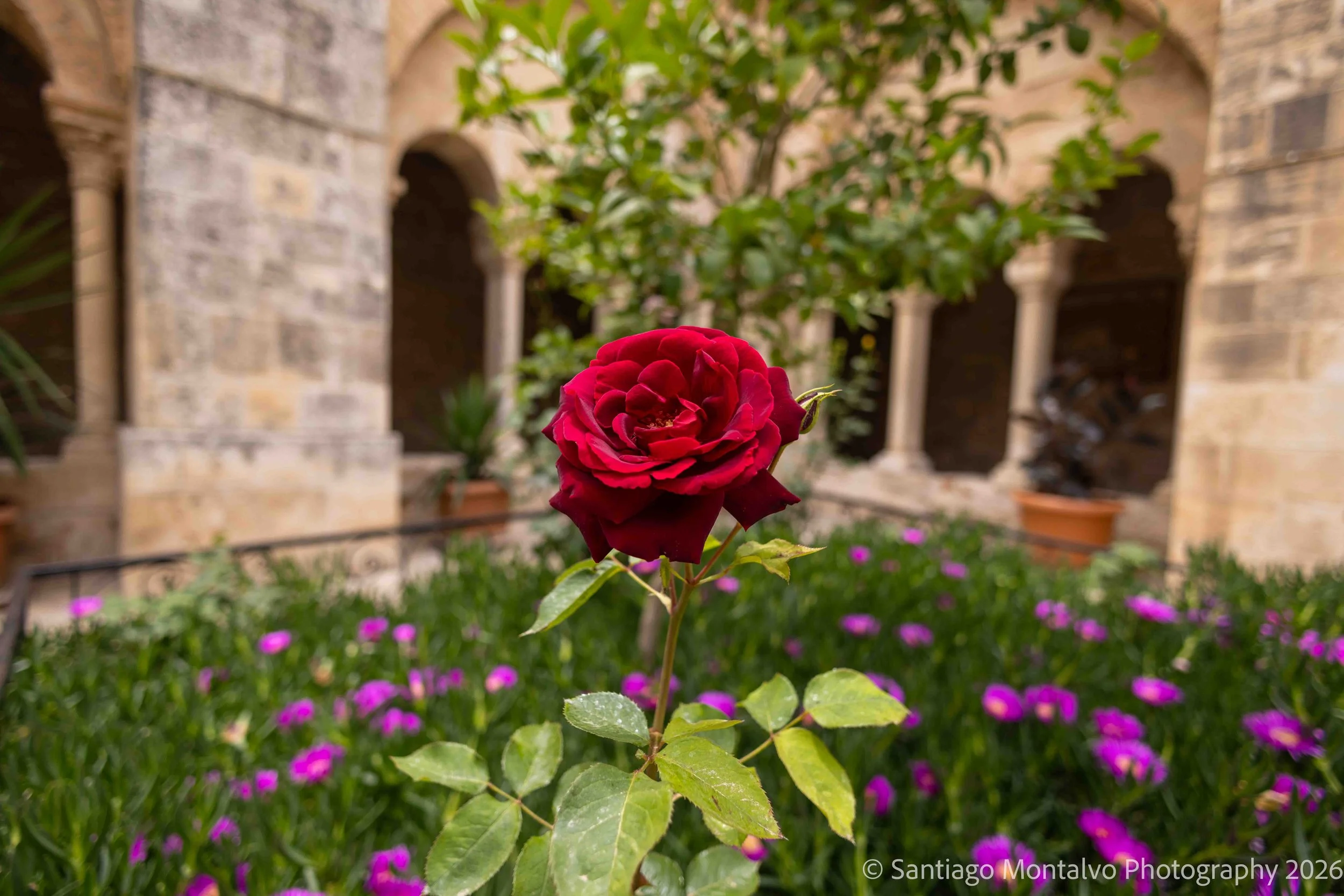 Jerusalem 2022-6.jpg