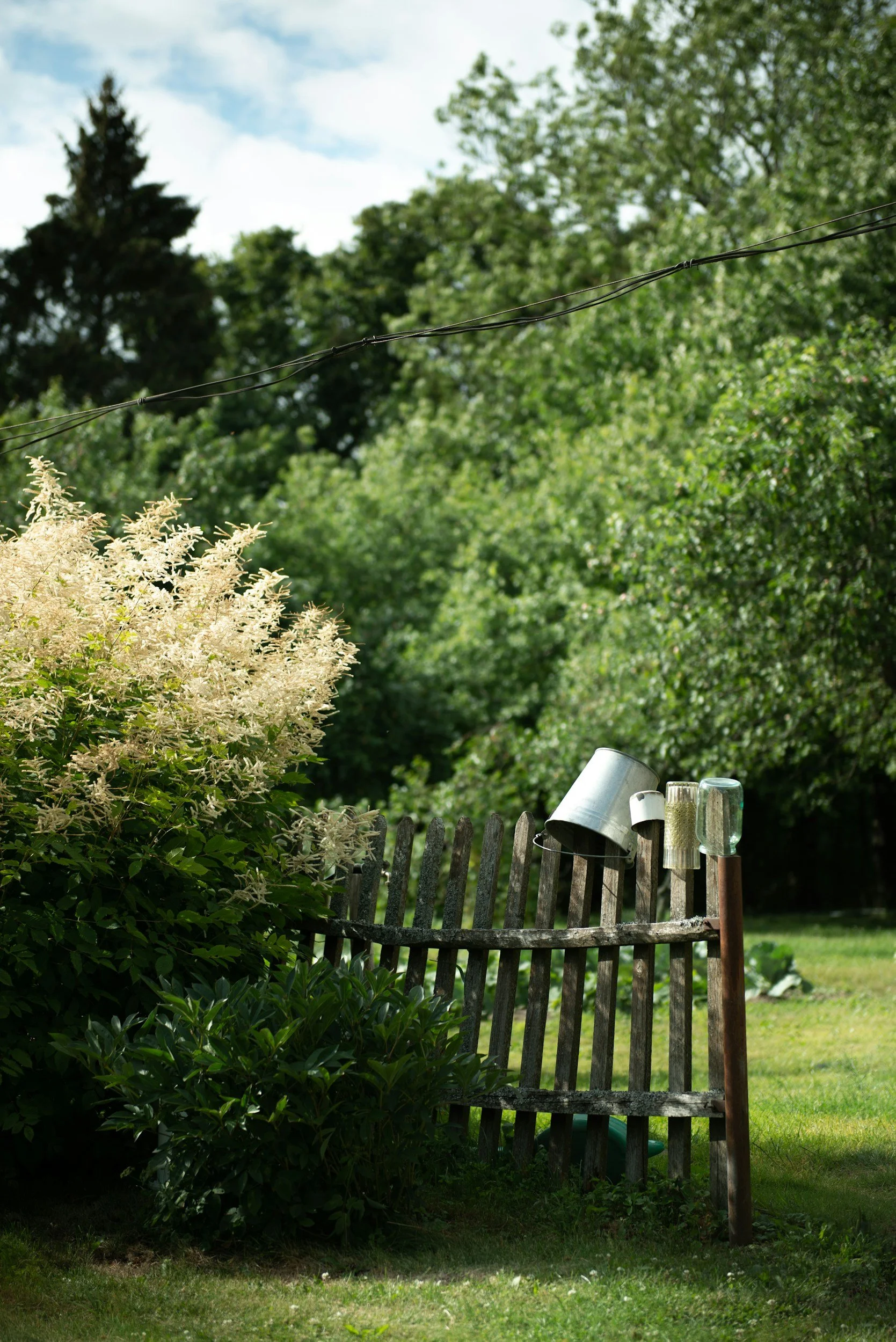 Leading A Simple Life: 5 Steps to Aligning with Peace.