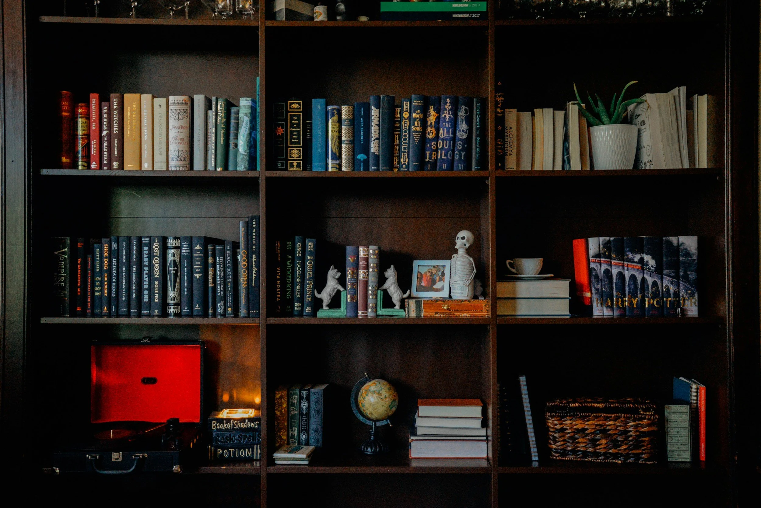 How to Build a Personal Library You’ll Treasure for Life