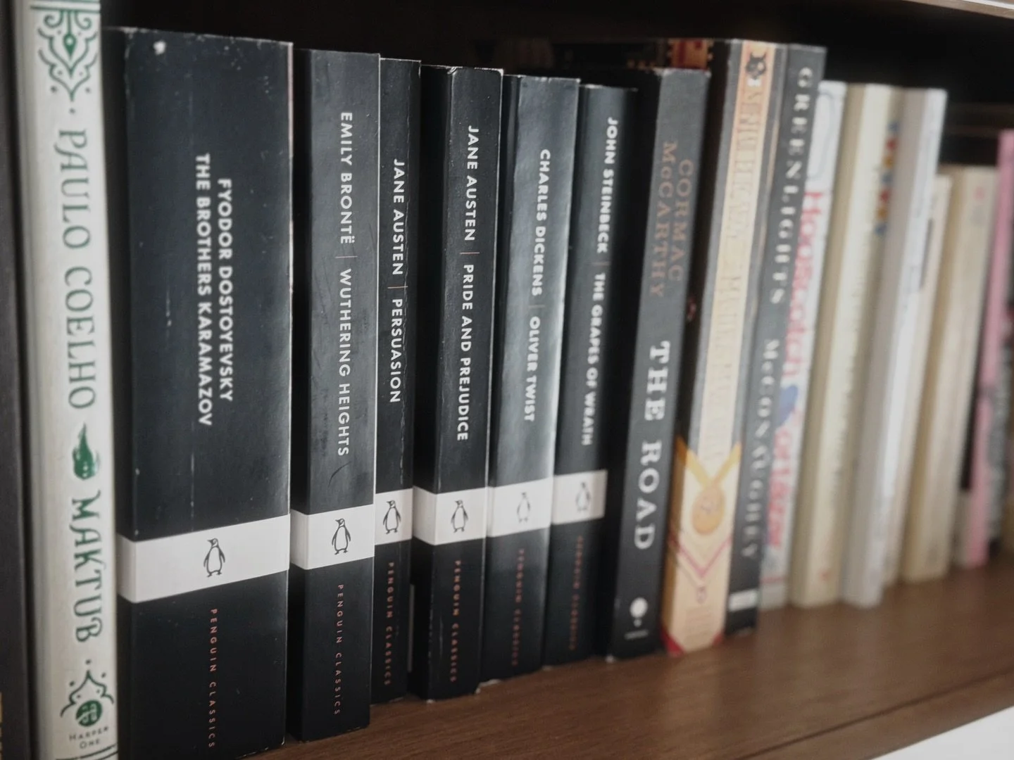 Some shelves hold books. this one holds entire lifetimes. 

Dostoyevsky wrestling with the soul. Bront&euml; setting the moors on fire. Austen teaching us that wit is its own kind of love. Dickens reminding us that the world has always been both crue