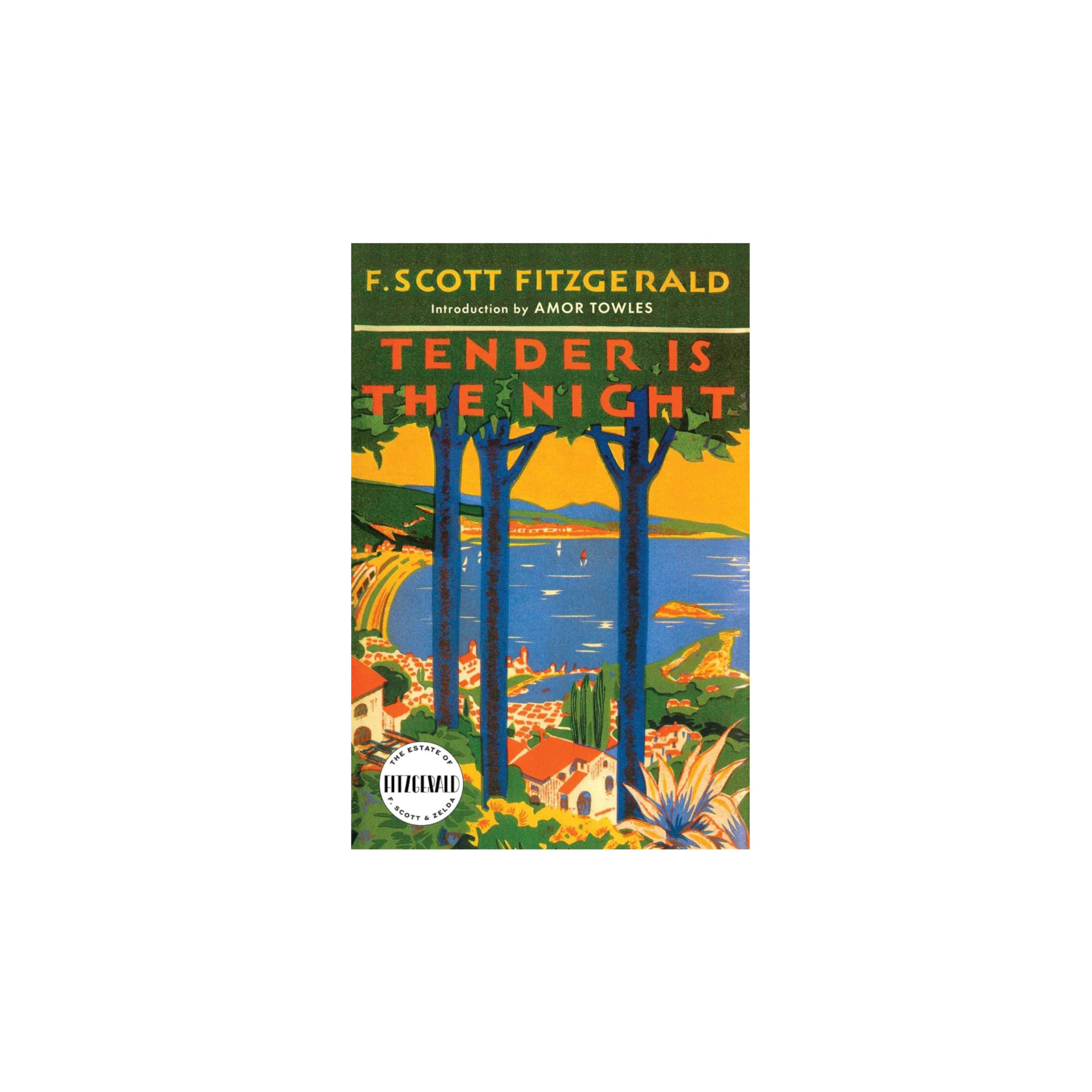 Tender Is The Night by F. Scott Fitzgerald