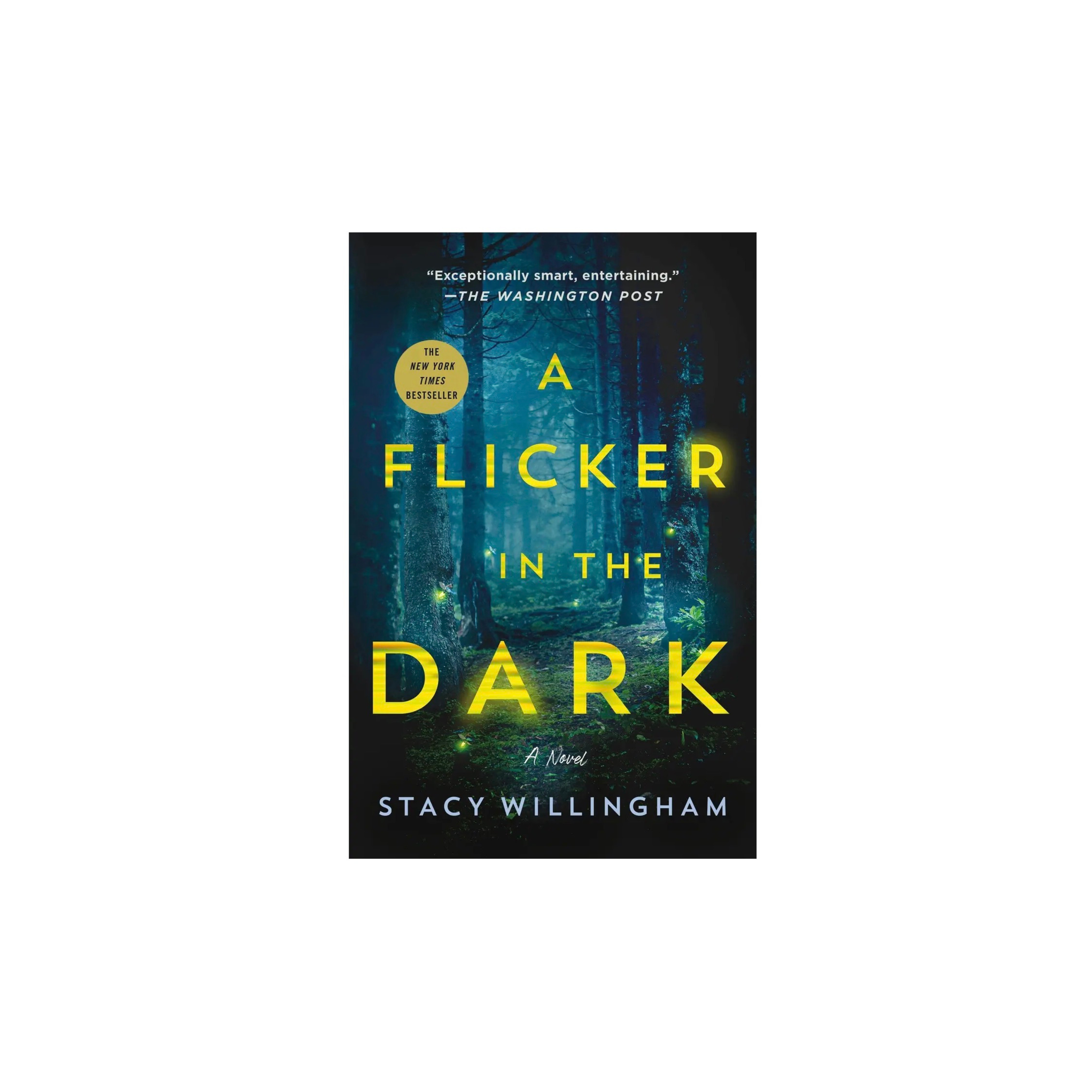 A Flicker in the Dark by Stacy Willingham
