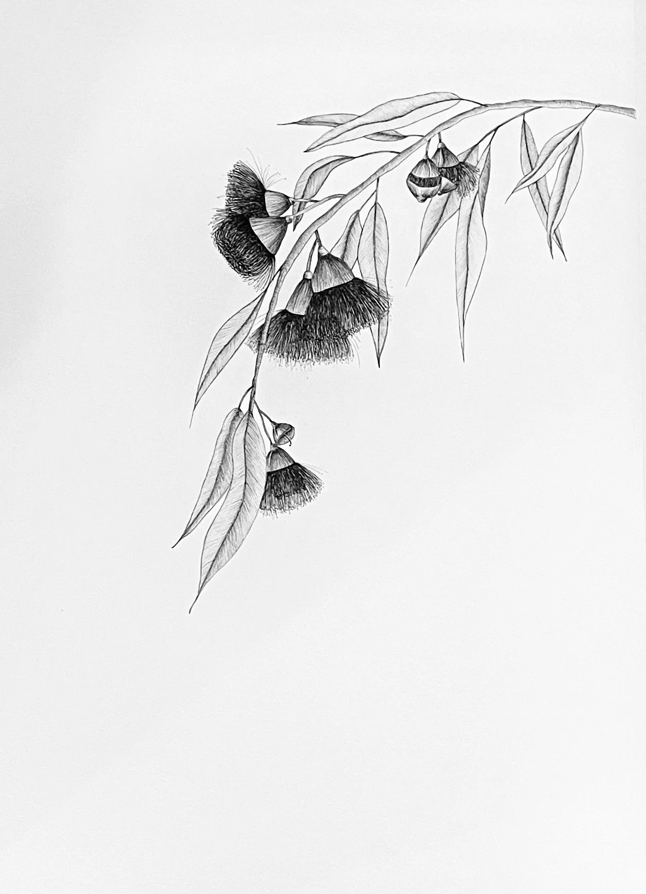IMG_2742.jpeg